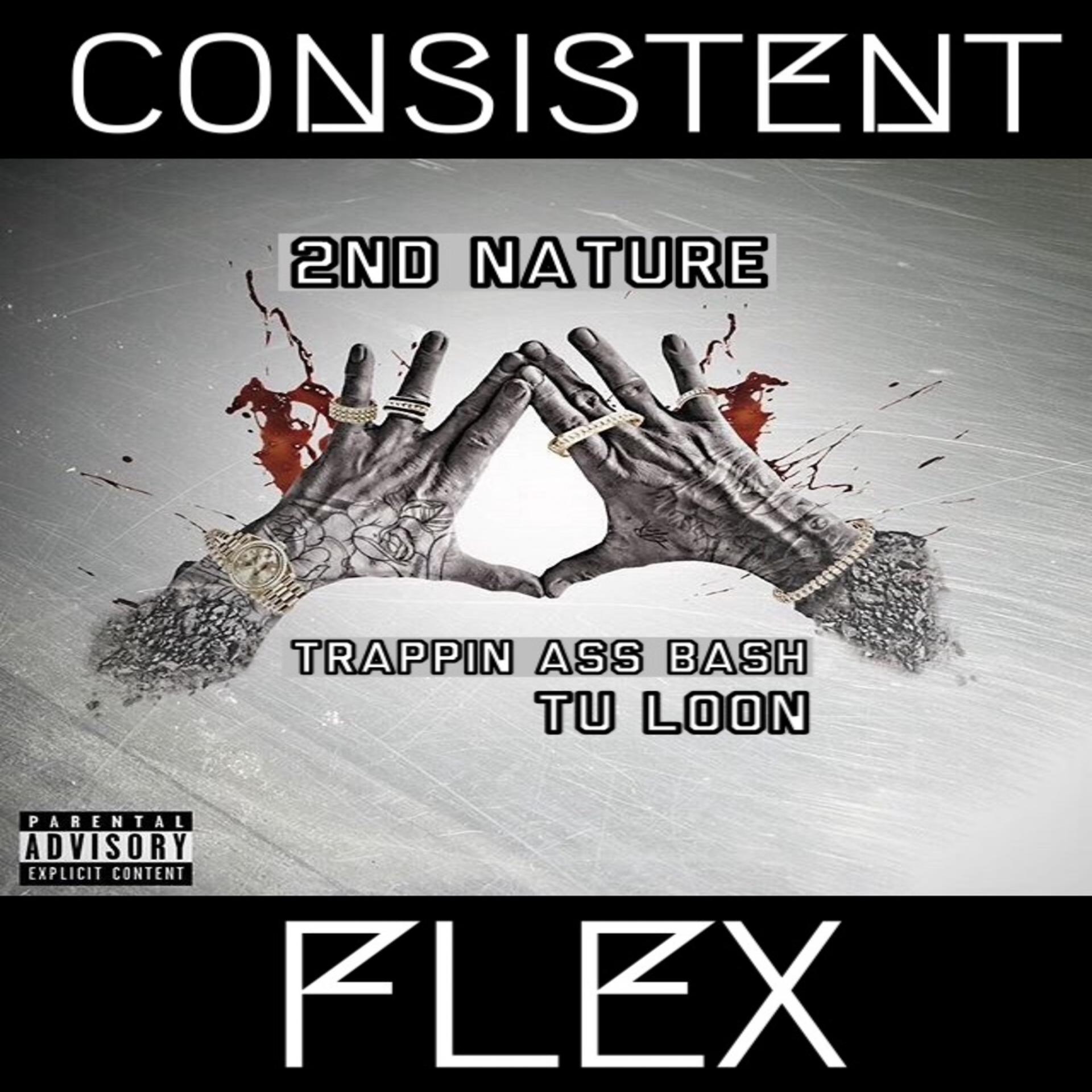 Постер альбома Consistent Flex (feat. Trappin Ass Bash & Tu Loon) - Single