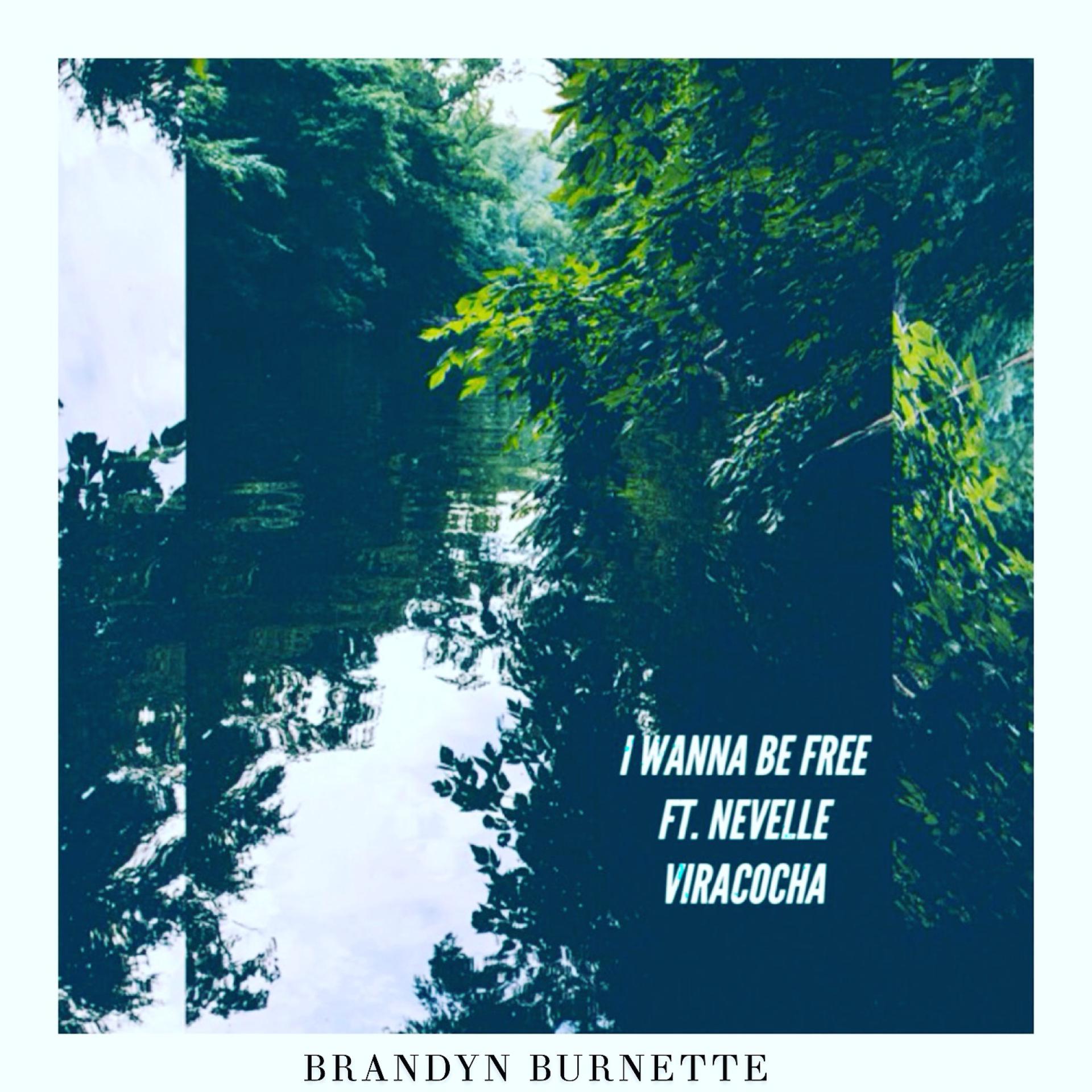 Постер альбома I Wanna Be Free (feat. Nevelle Viracocha)