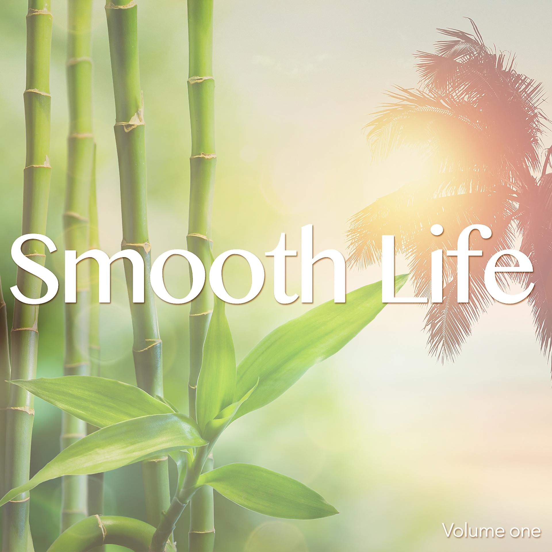 Постер альбома Smooth Life, Vol. 1