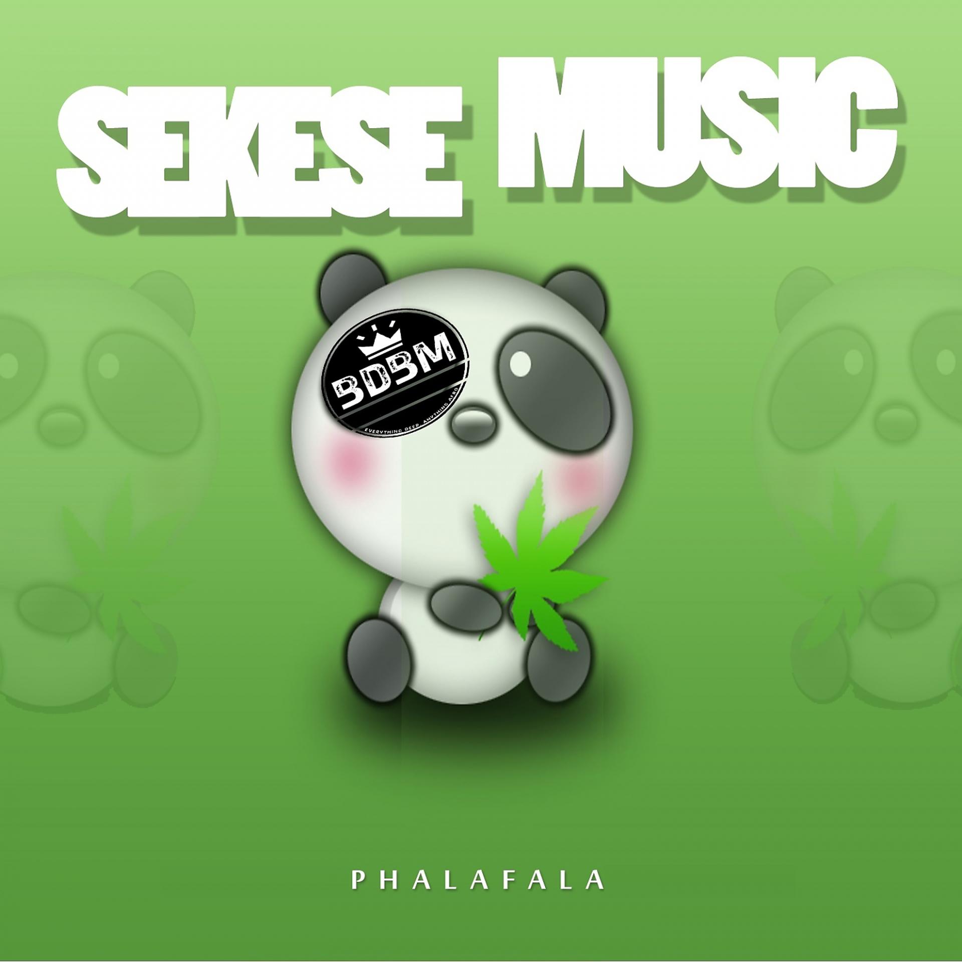 Постер альбома Sekese Music