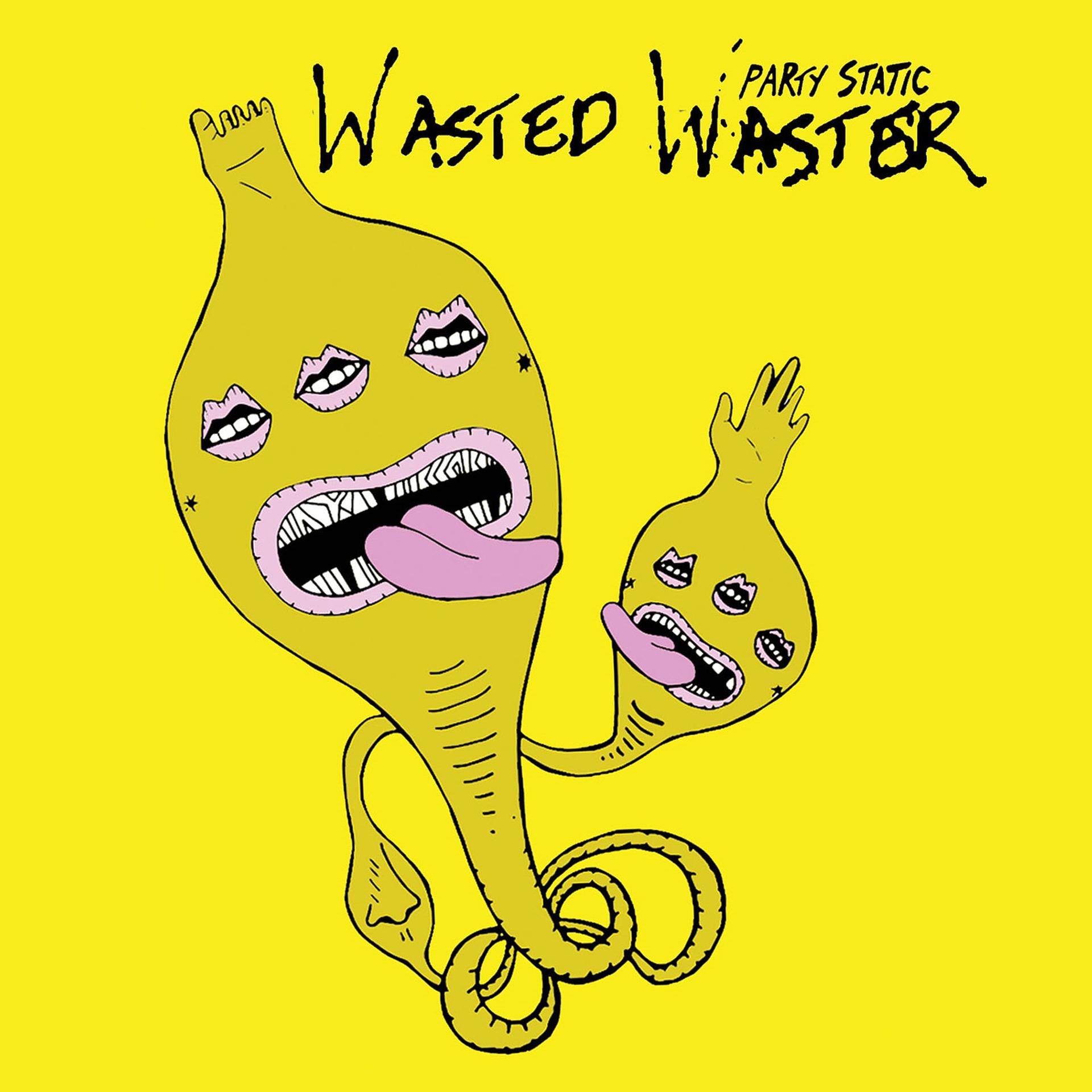 Постер альбома Wasted Waster