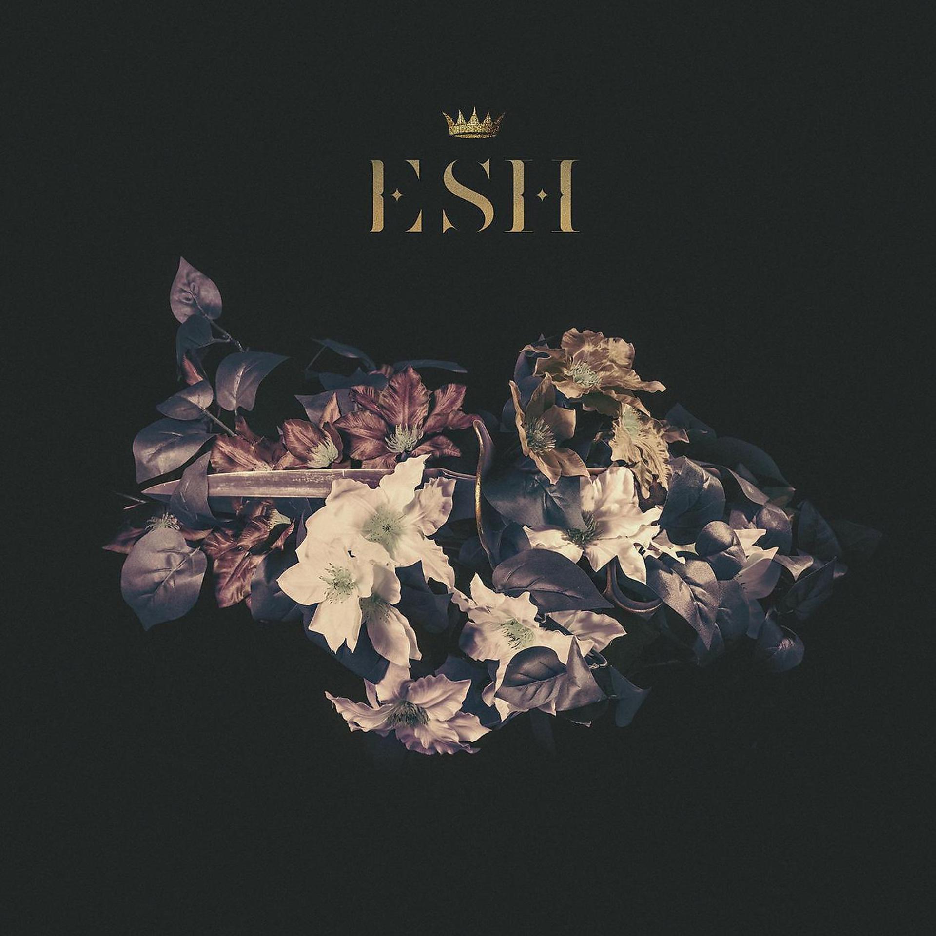 Постер альбома Esh - EP
