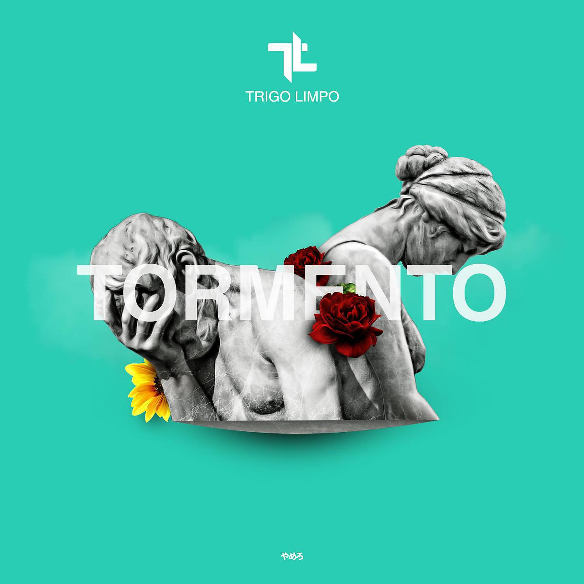 Постер альбома Tormento