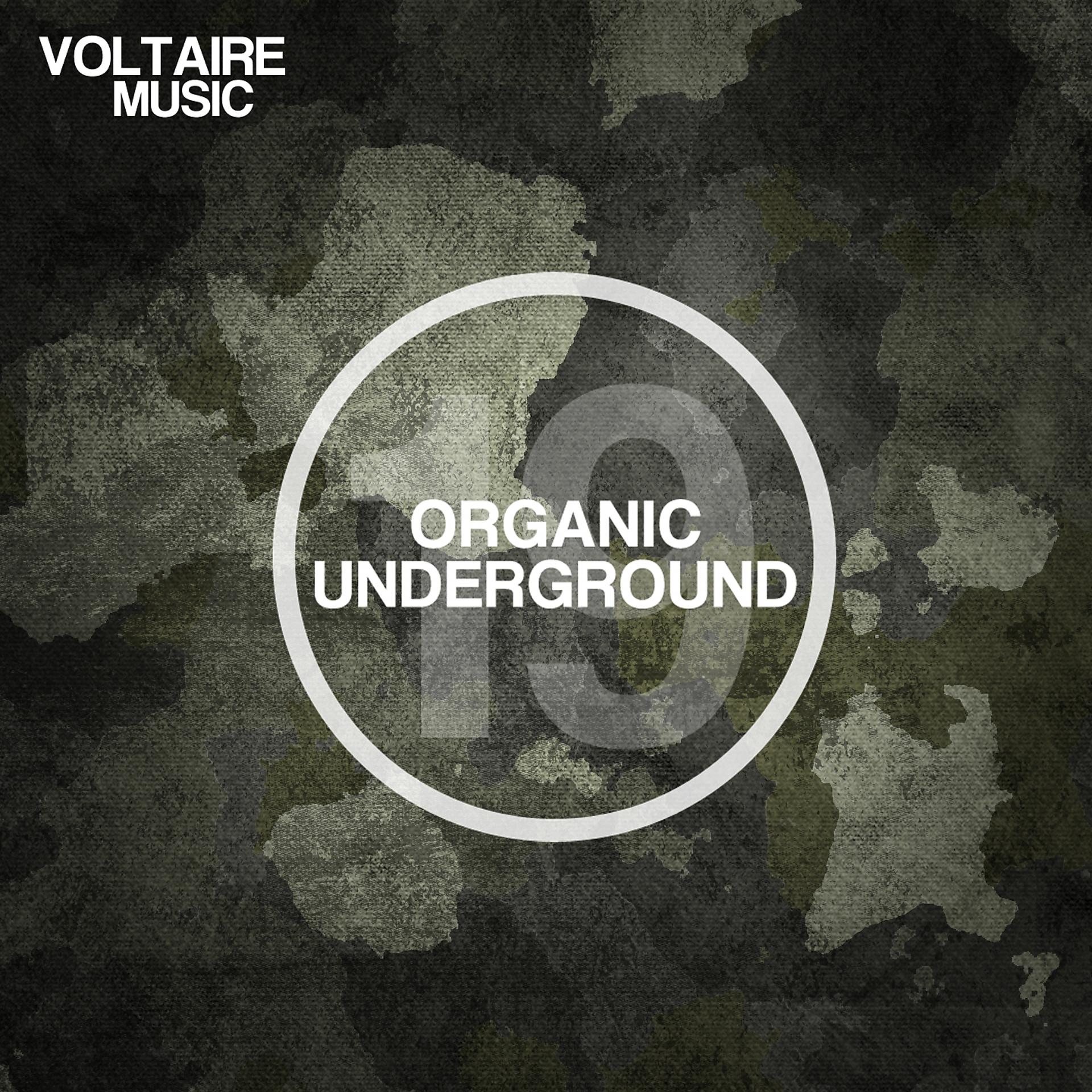 Постер альбома Organic Underground Issue 19