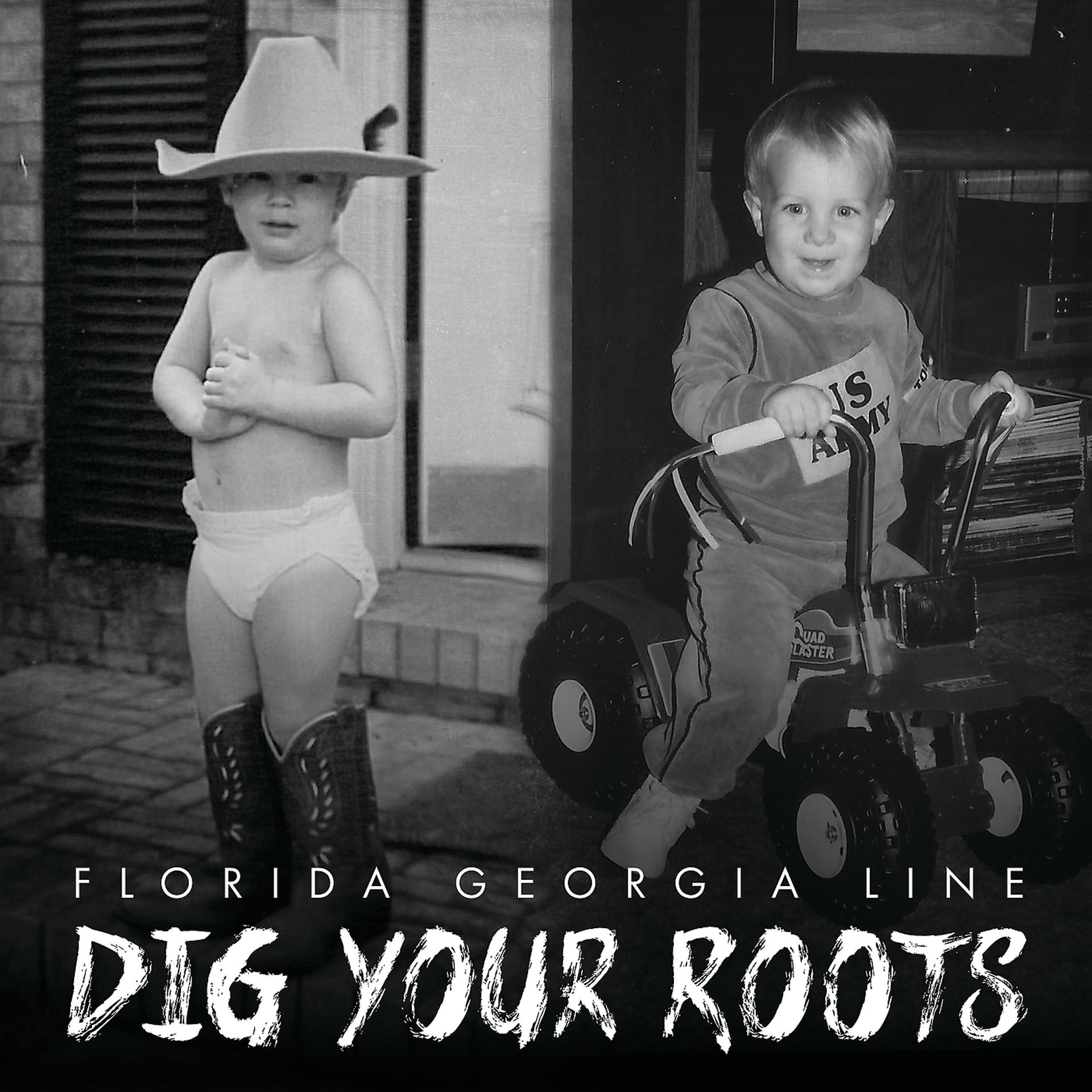 Постер альбома Dig Your Roots