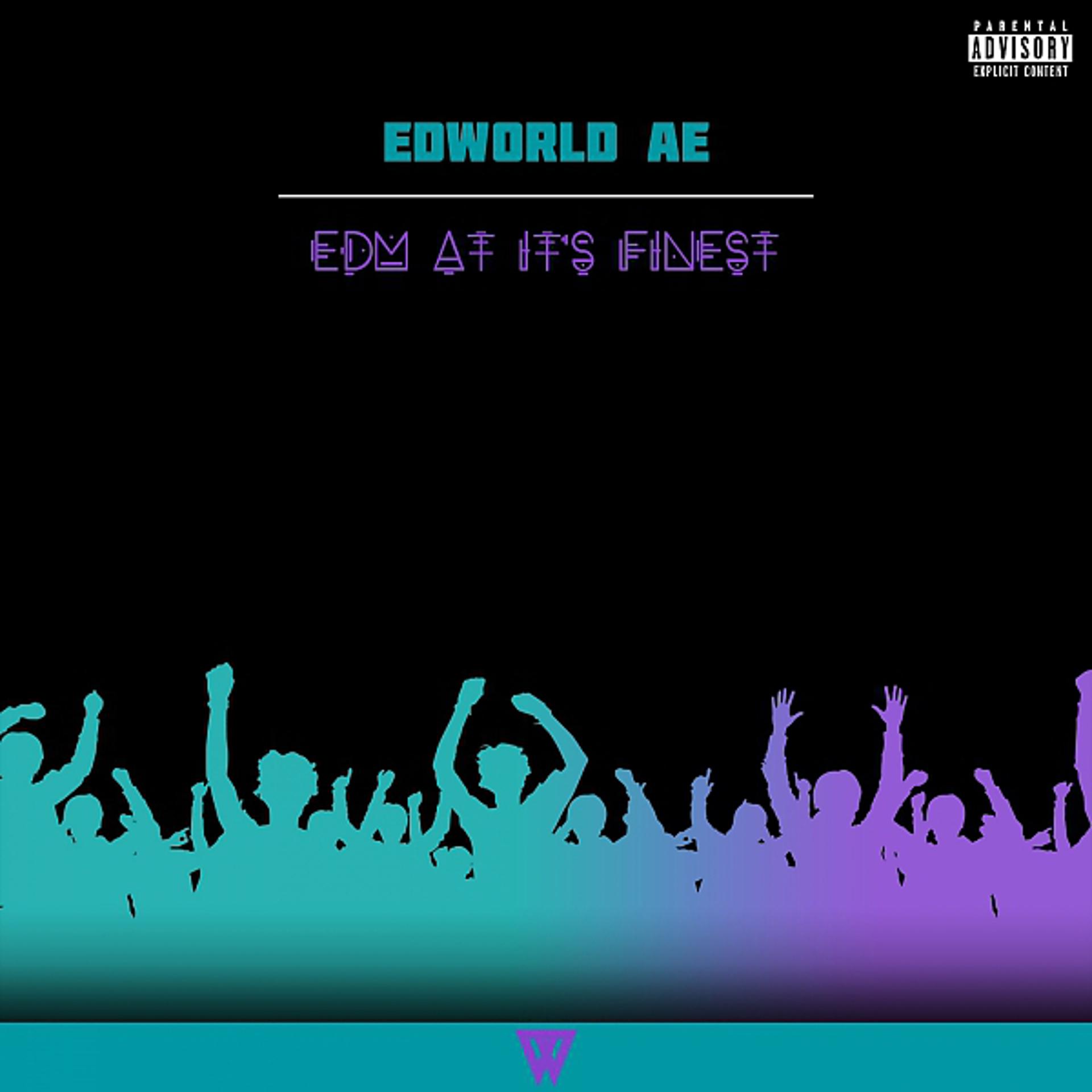 Постер альбома EDM at It's Finest - EP