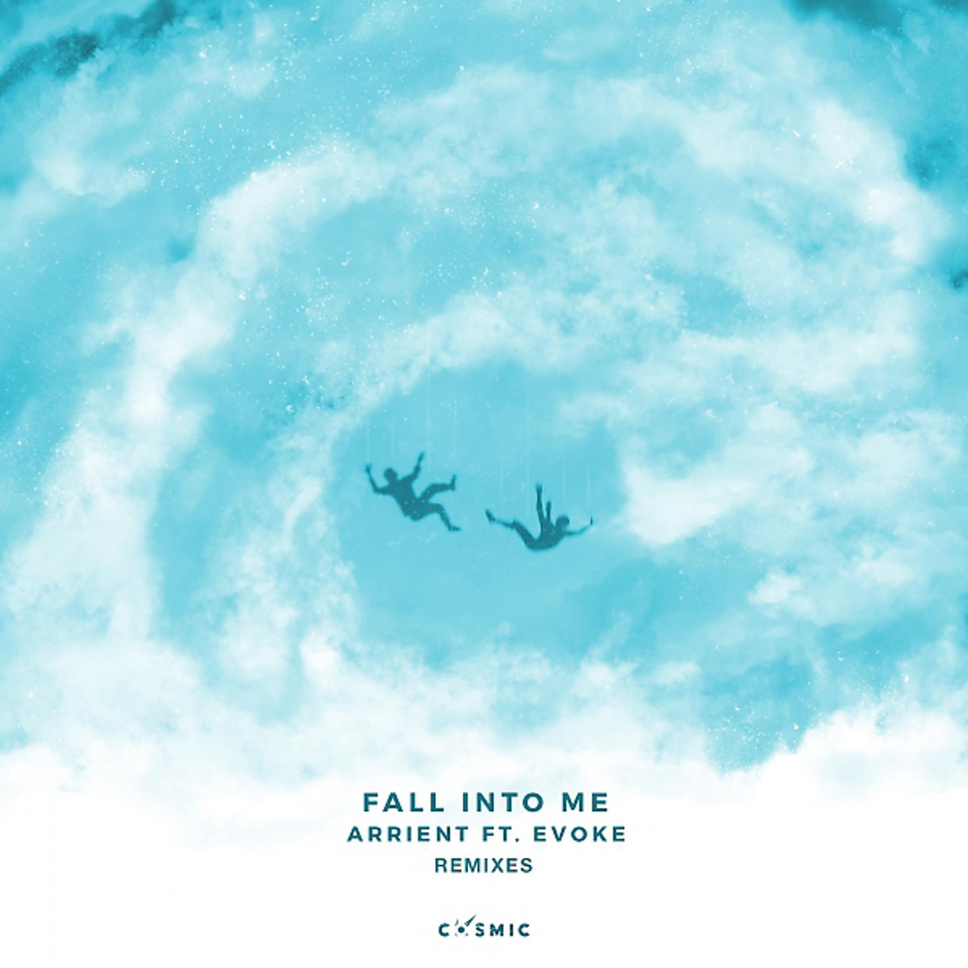 Постер альбома Fall Into Me Remixes
