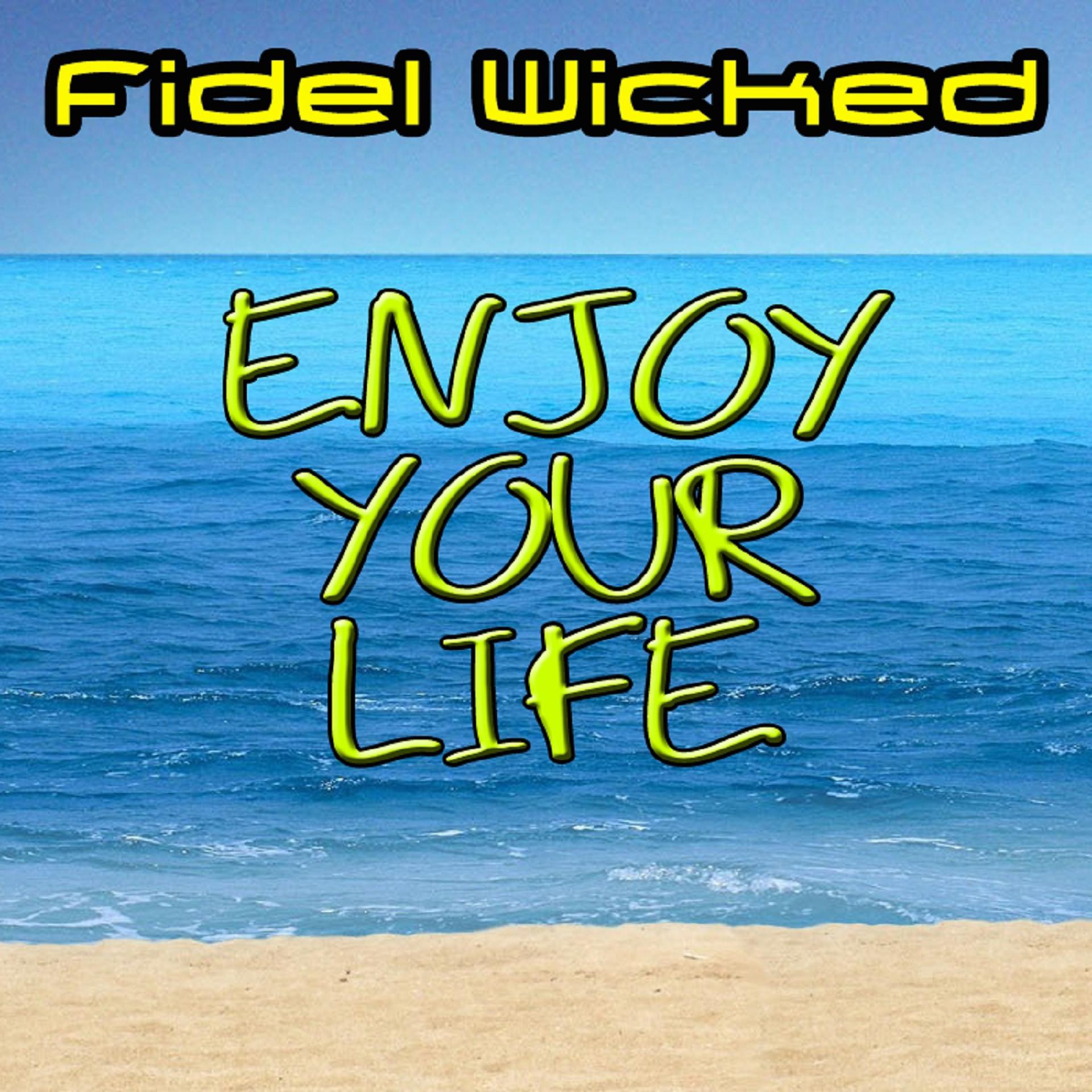 Постер альбома Enjoy Your Life (Remixes)