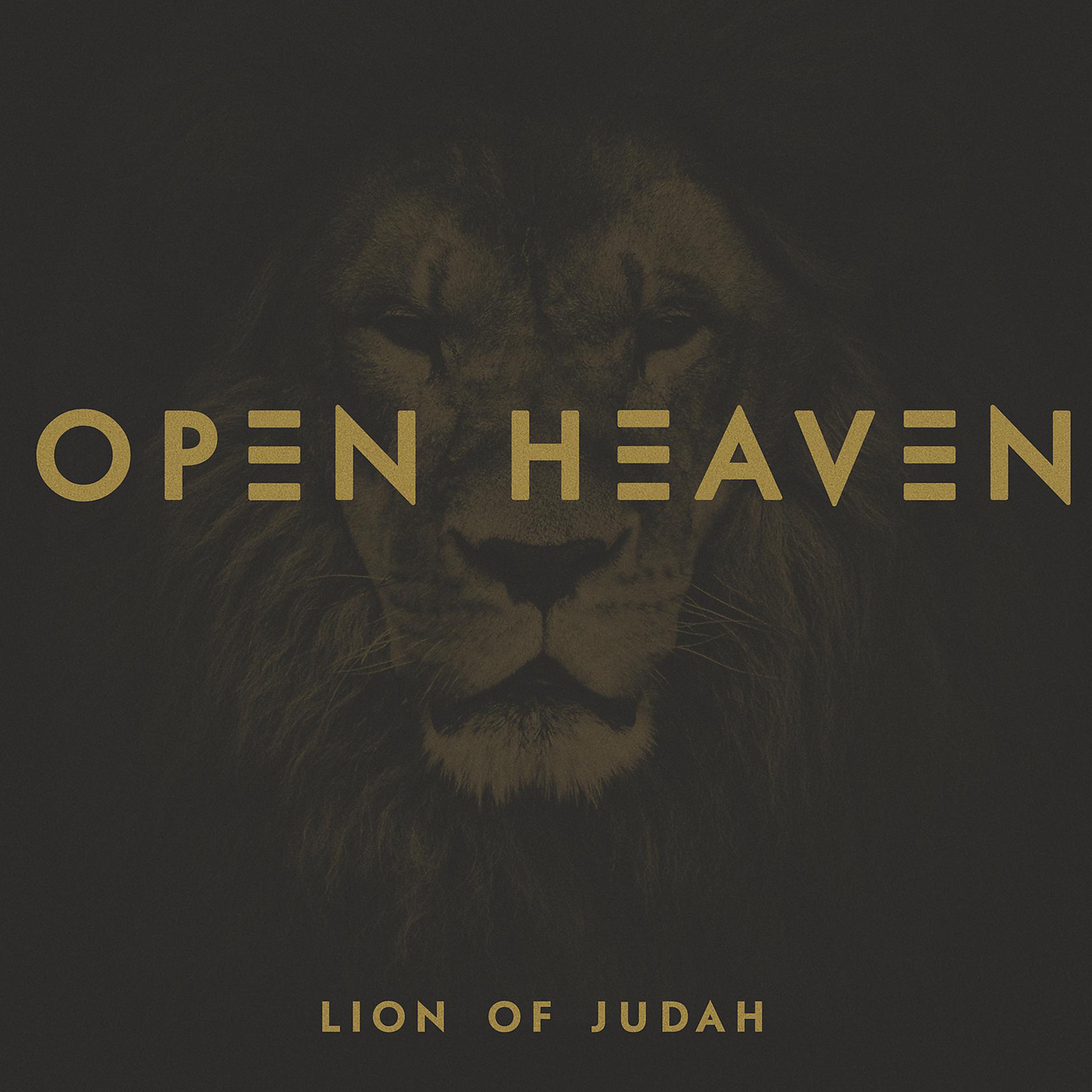 Постер альбома Lion Of Judah