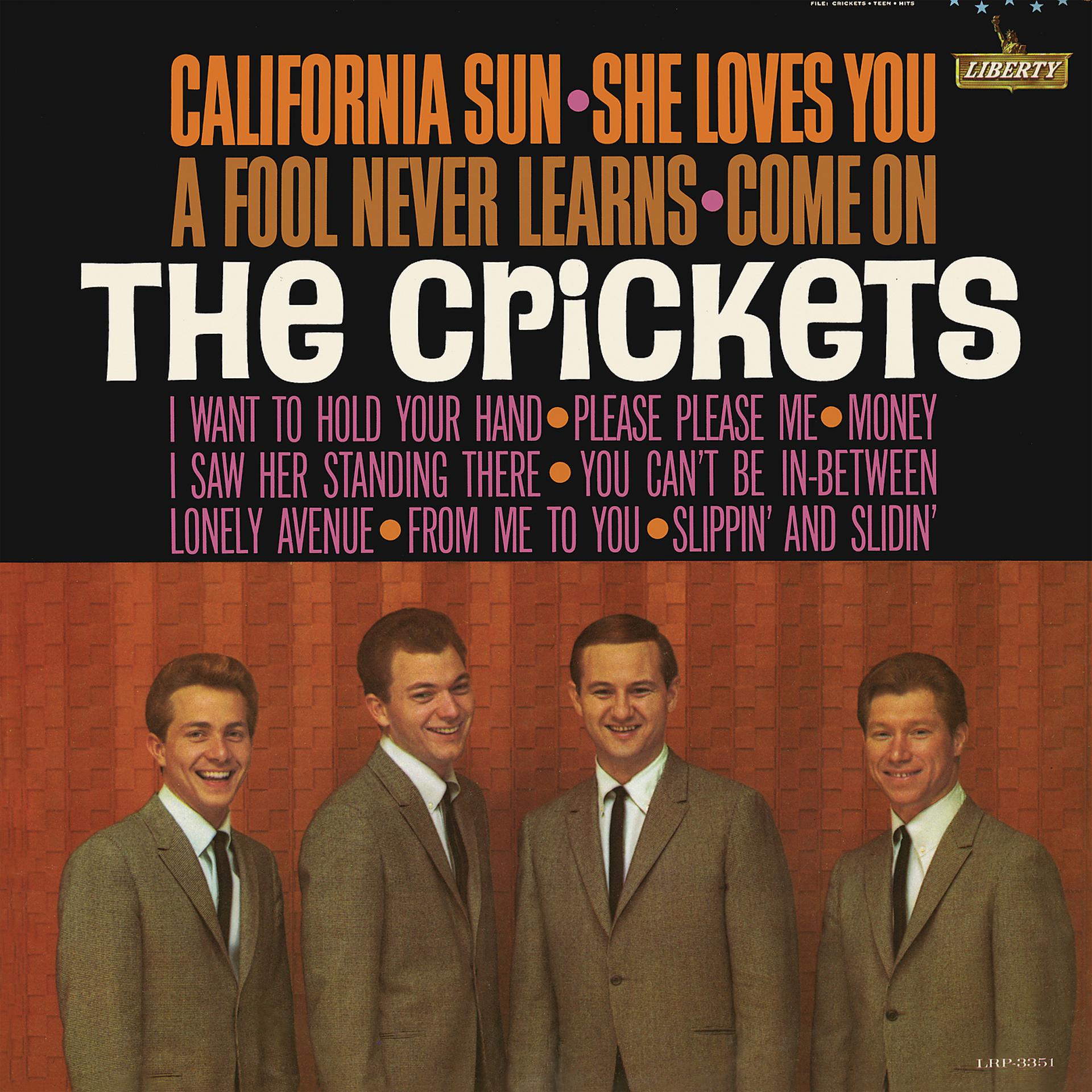 Постер альбома California Sun - She Loves You