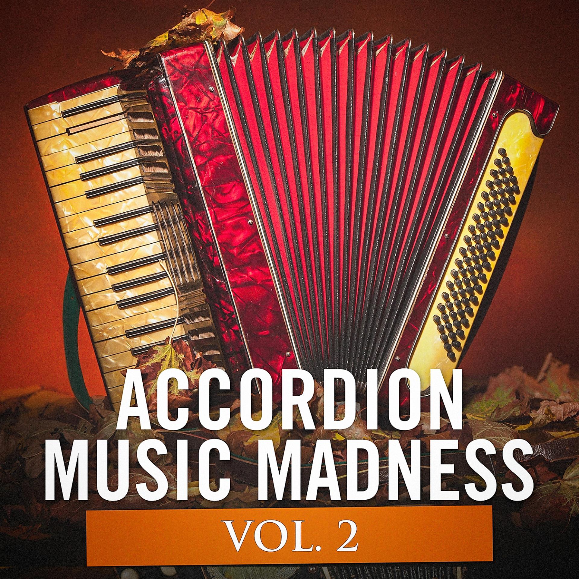 Постер альбома Accordion Music Madness, Vol. 2