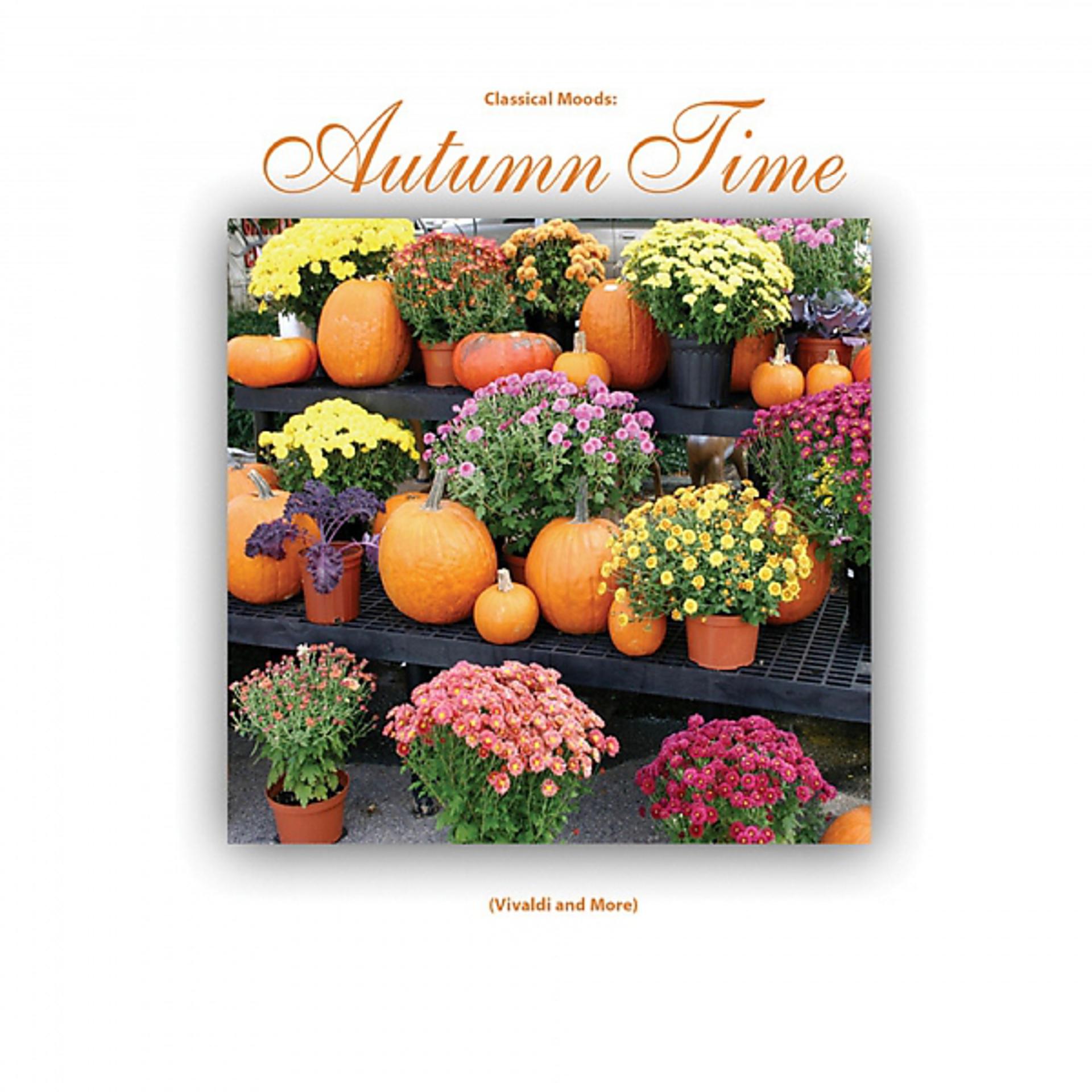Постер альбома Classical Moods - Autumn Time ( Vivaldi and More )