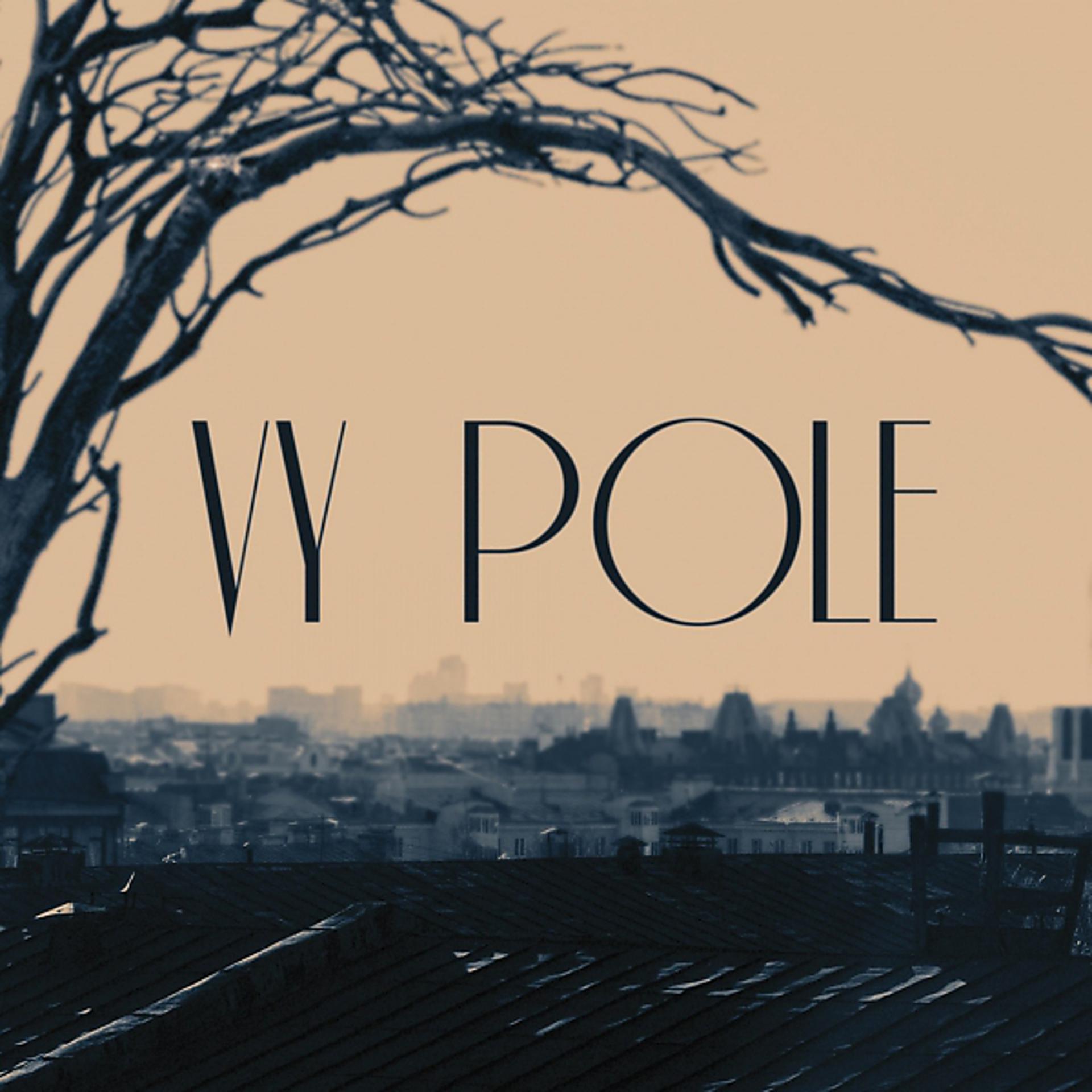 Постер альбома Vy Pole