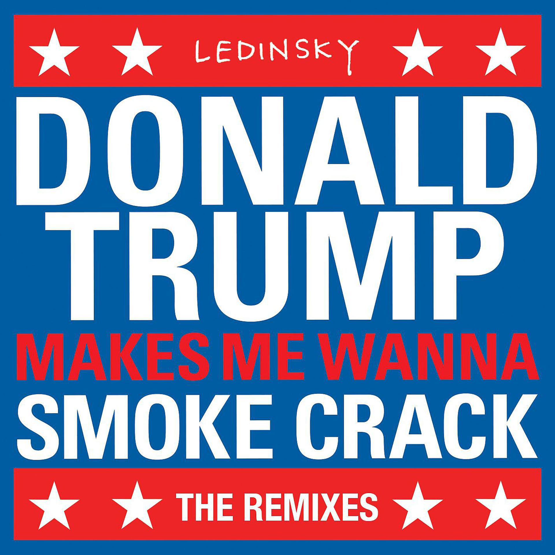 Постер альбома DonaldTrumpMakesMeWannaSmokeCrack (The Remixes)