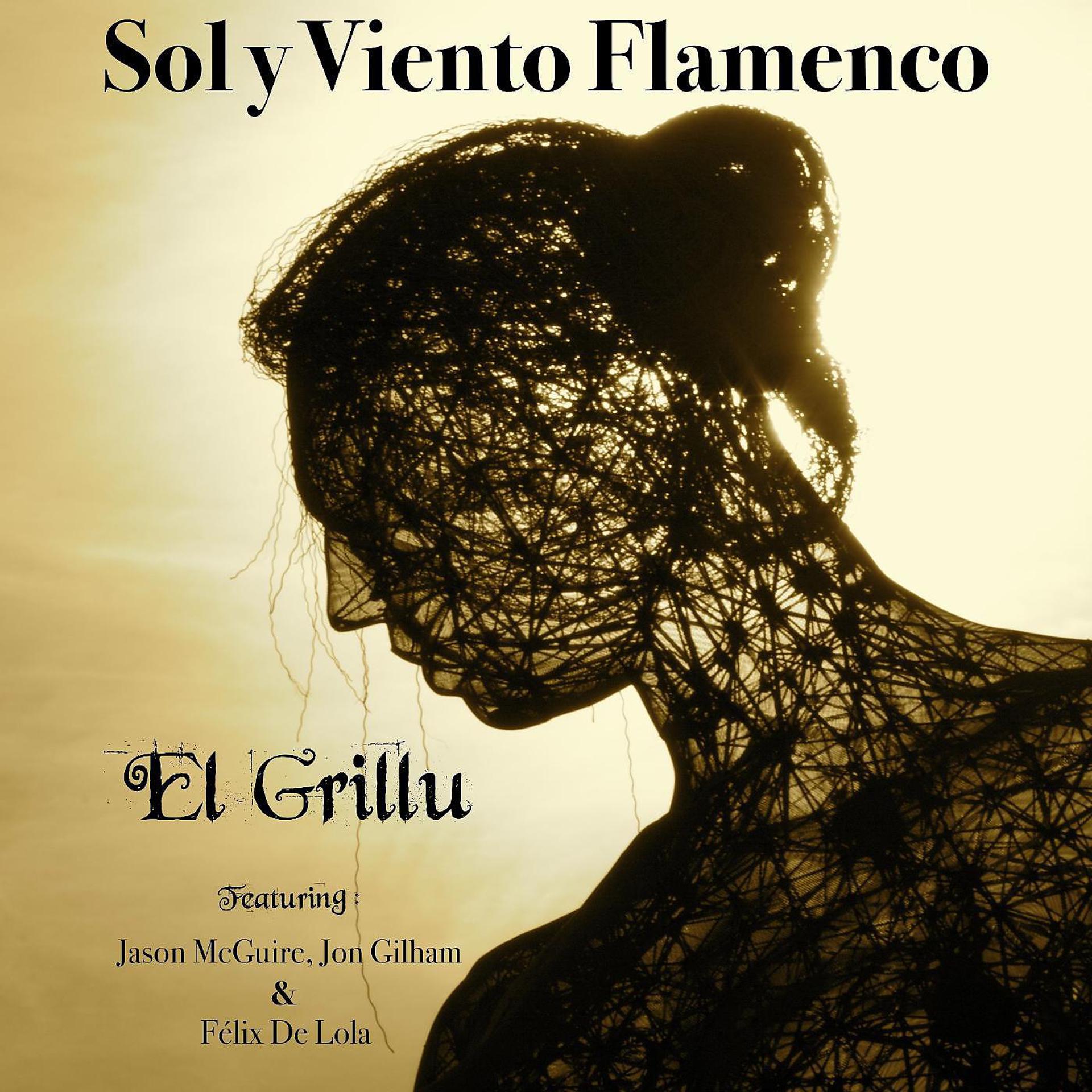 Постер альбома Sol y Viento Flamenco (feat. Felix De Lola & Jon Gilham)