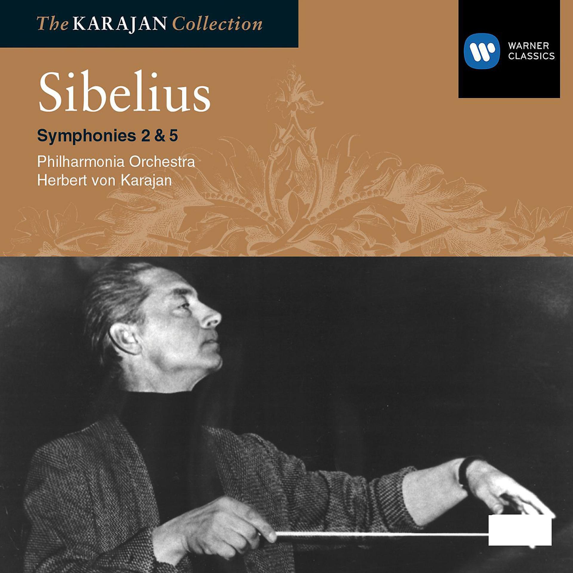 Постер альбома Sibelius: Symphonies 2 & 5