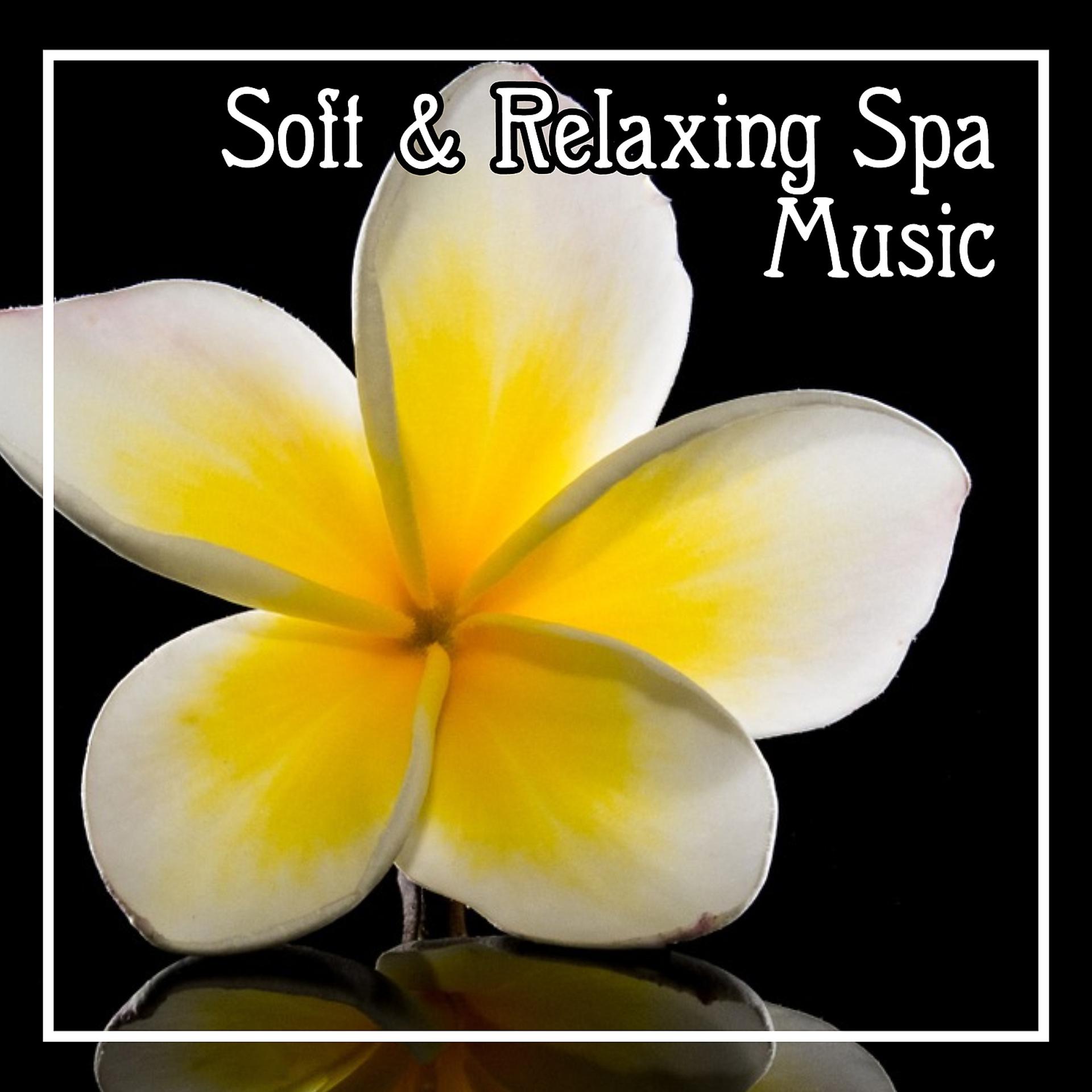 Постер альбома Soft & Relaxing Spa Music – Calming Sounds, New Age Relaxation, Nature Sounds for Massage, Beautiful Moments