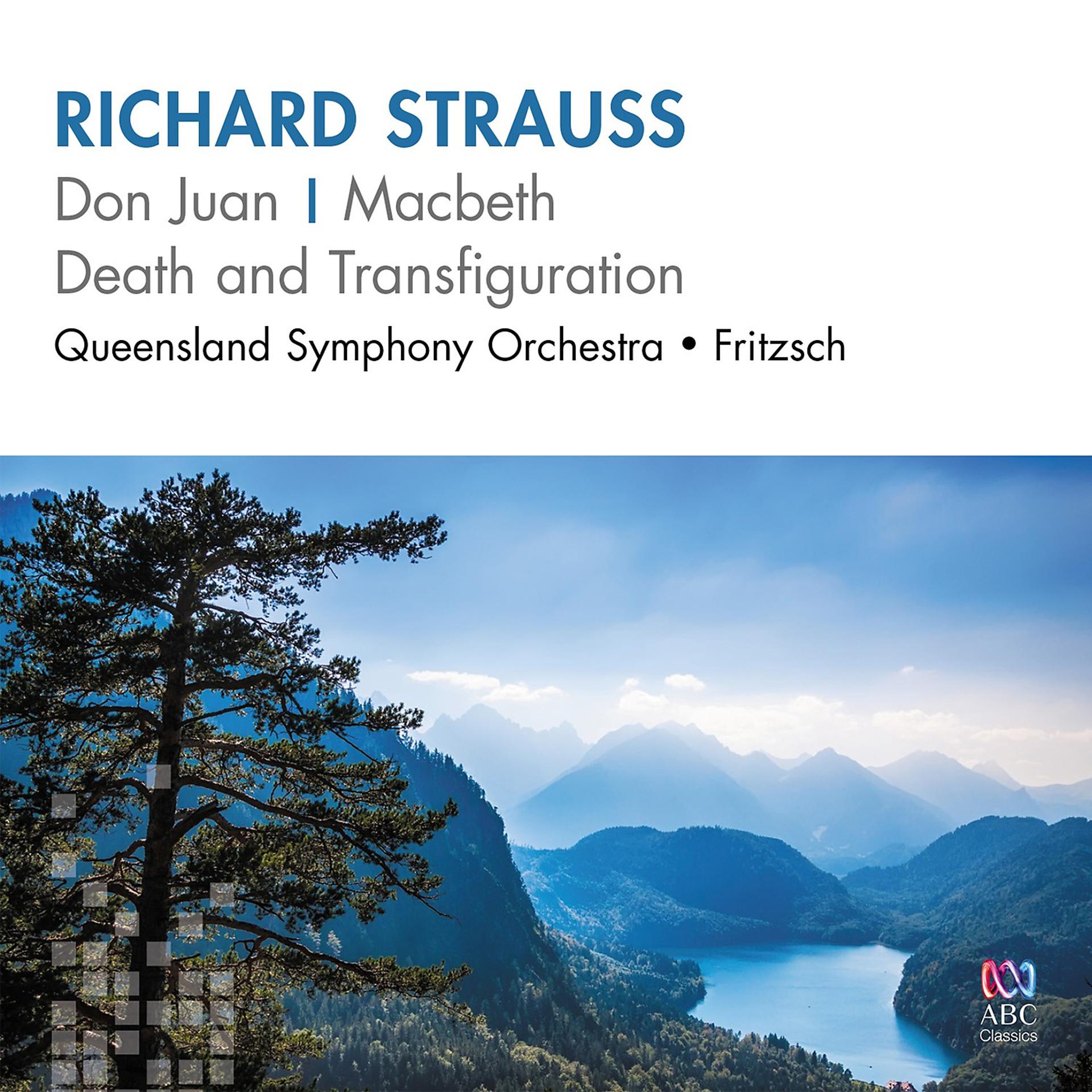 Постер альбома Richard Strauss: Don Juan – Macbeth – Death And Transfiguration