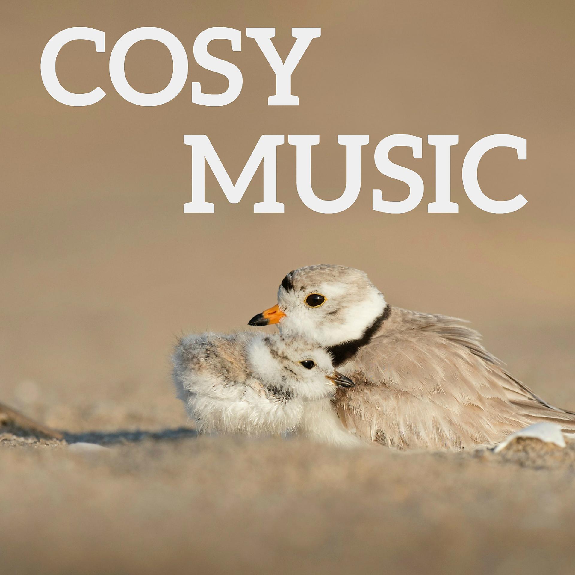 Постер альбома Cosy Music