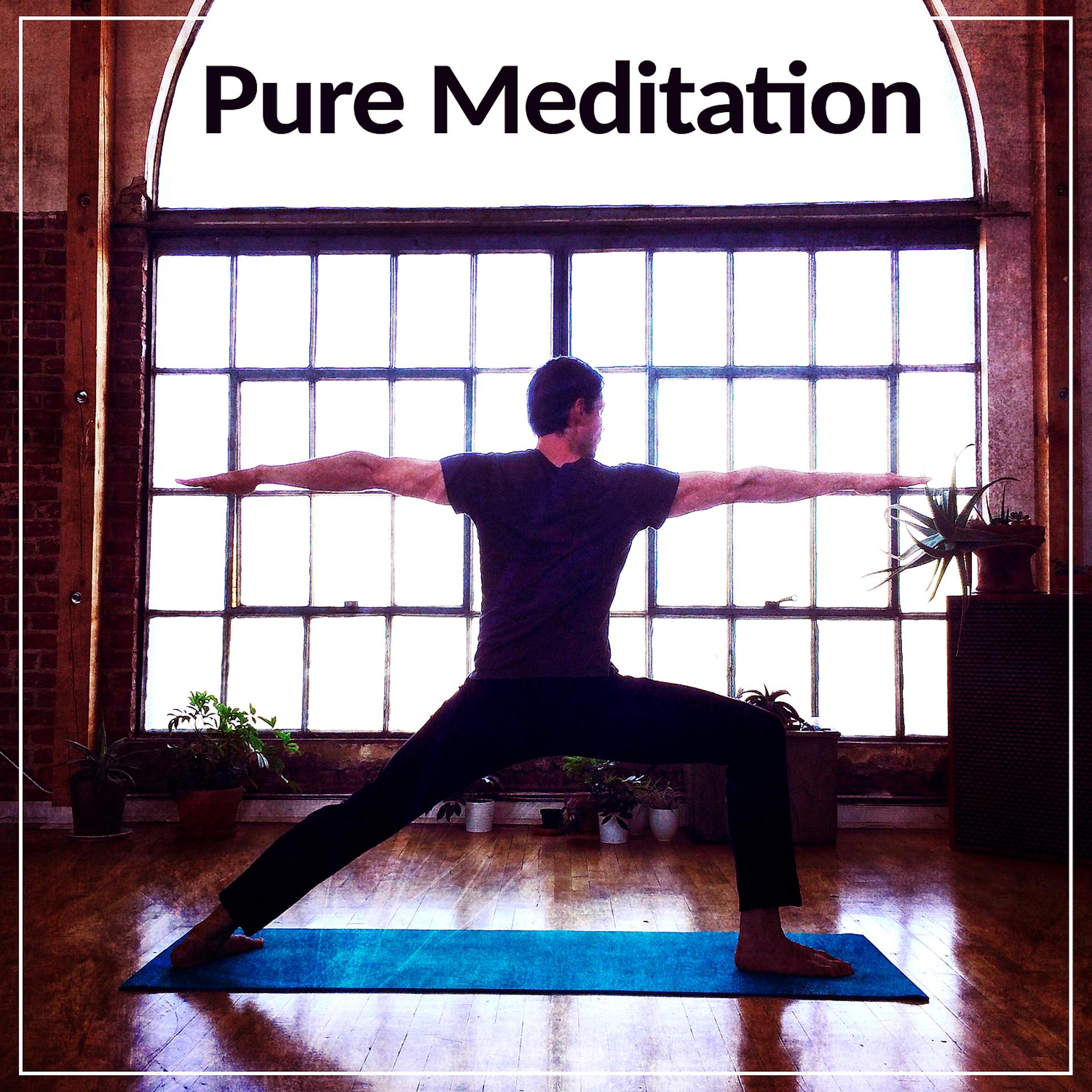 Постер альбома Pure Meditation