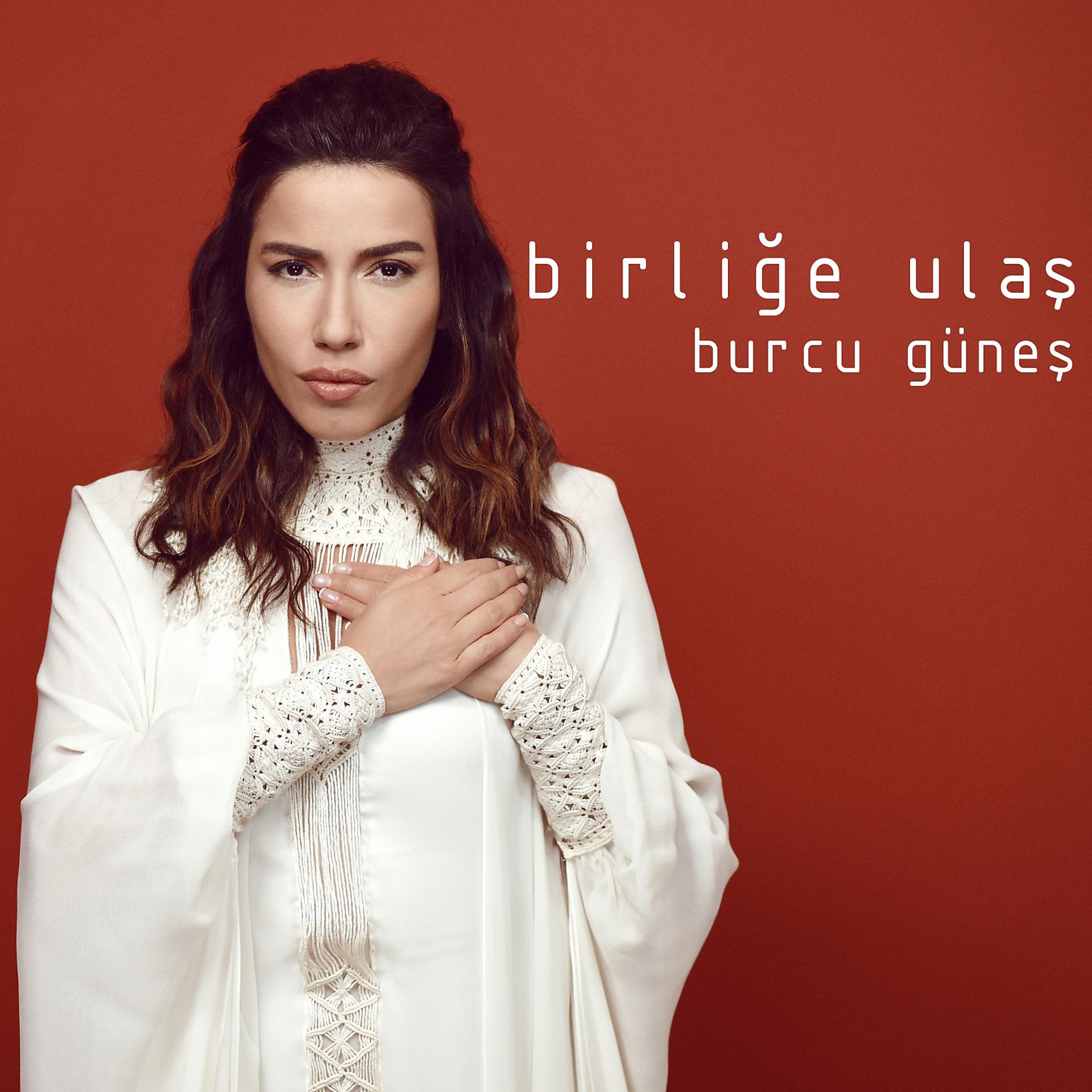 Постер альбома Birliğe Ulaş