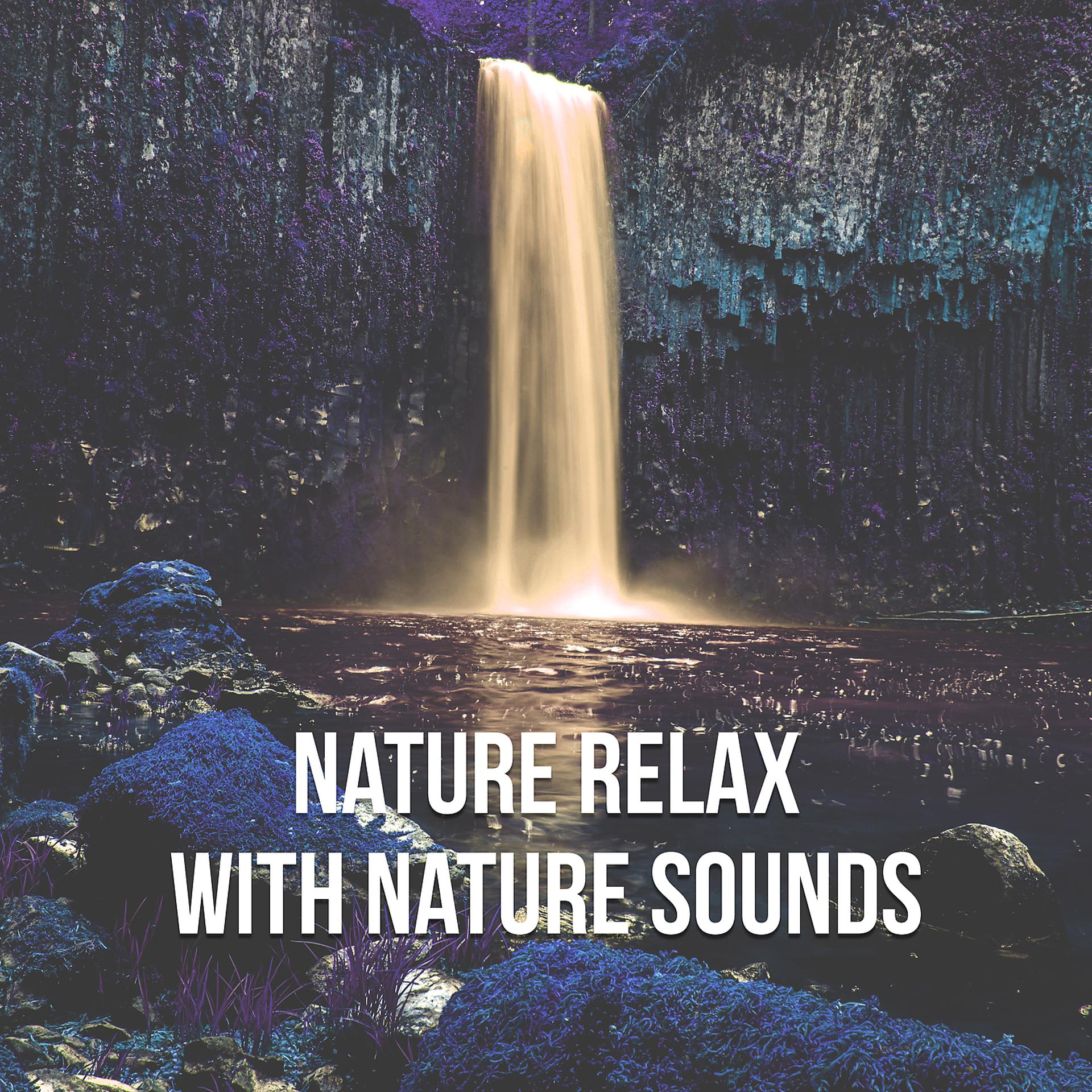 Постер альбома Nature Relax with Nature Sounds