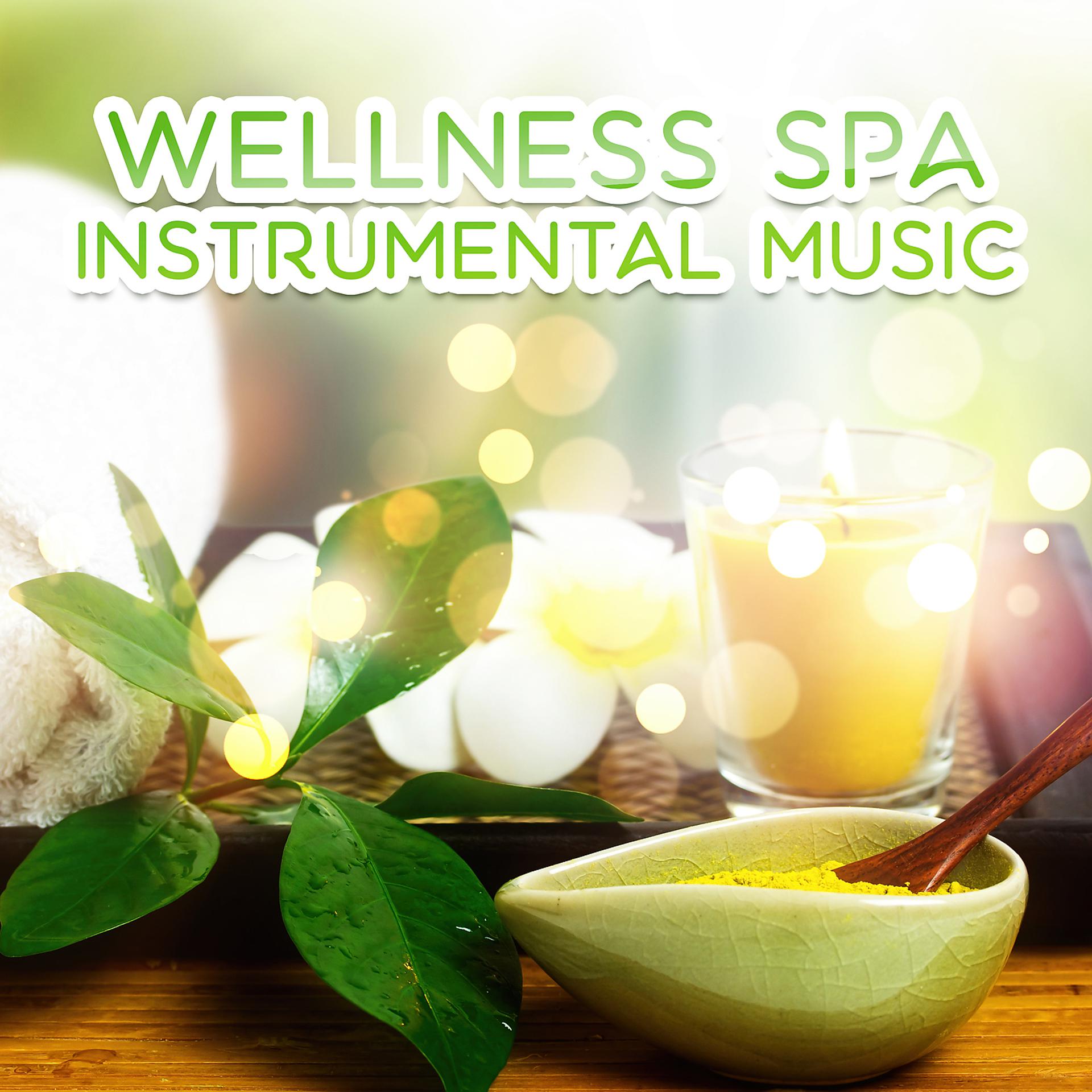 Постер альбома Wellness Spa Instrumental Music – Healing Touch, Relaxation Spa Music Collection, Pure Essence