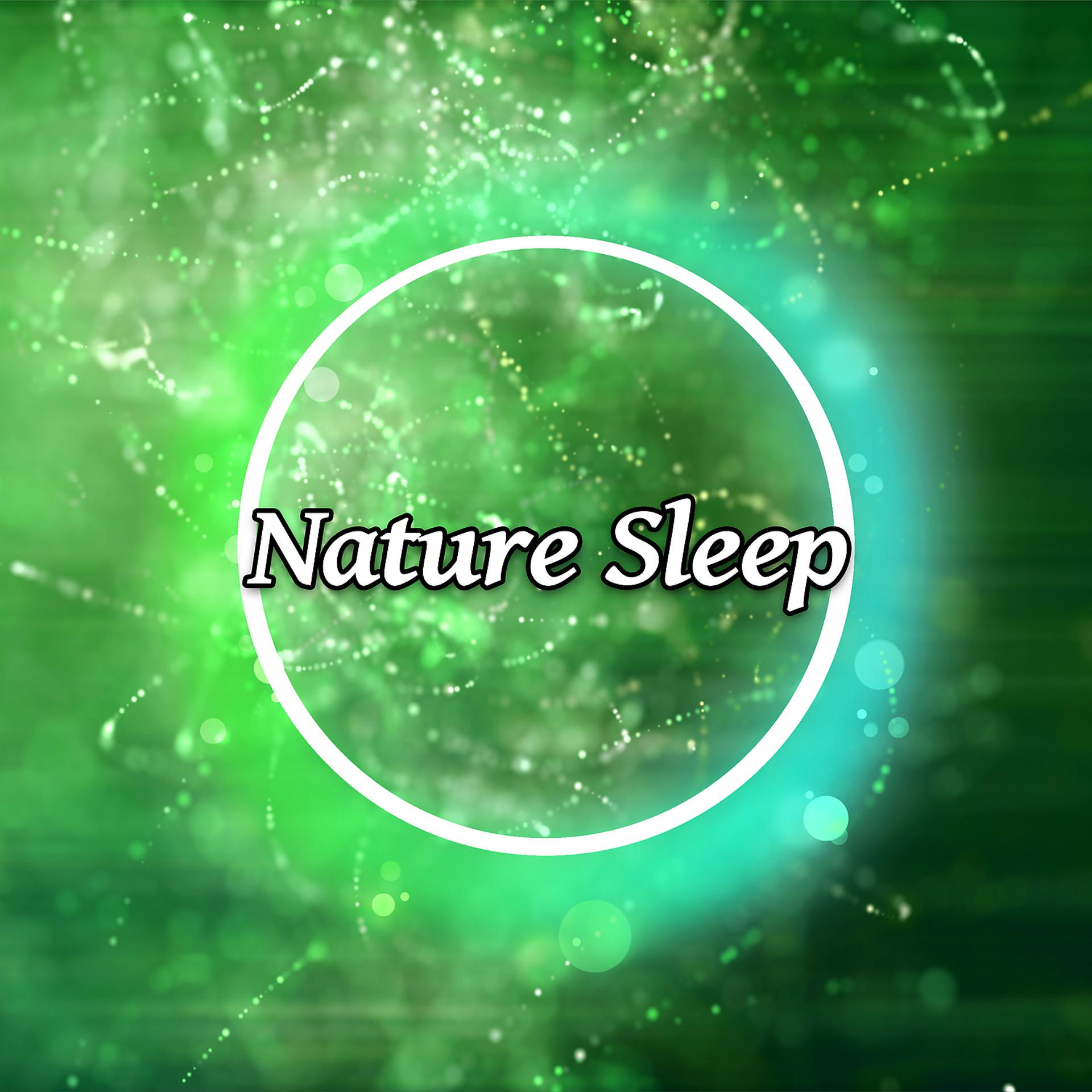 Постер альбома Nature Sleep – Sereniy Sleep, Calm Sounds, Relaxation Music, Reiki, Silence Song