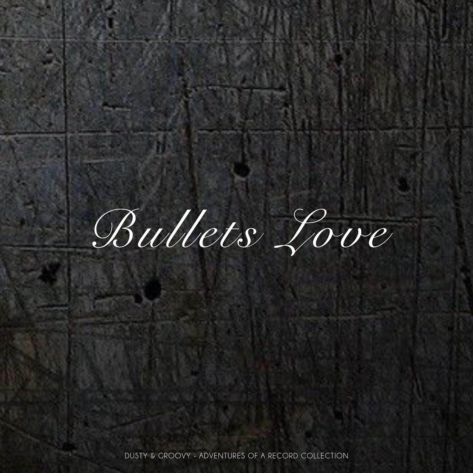 Постер альбома Bullets Love