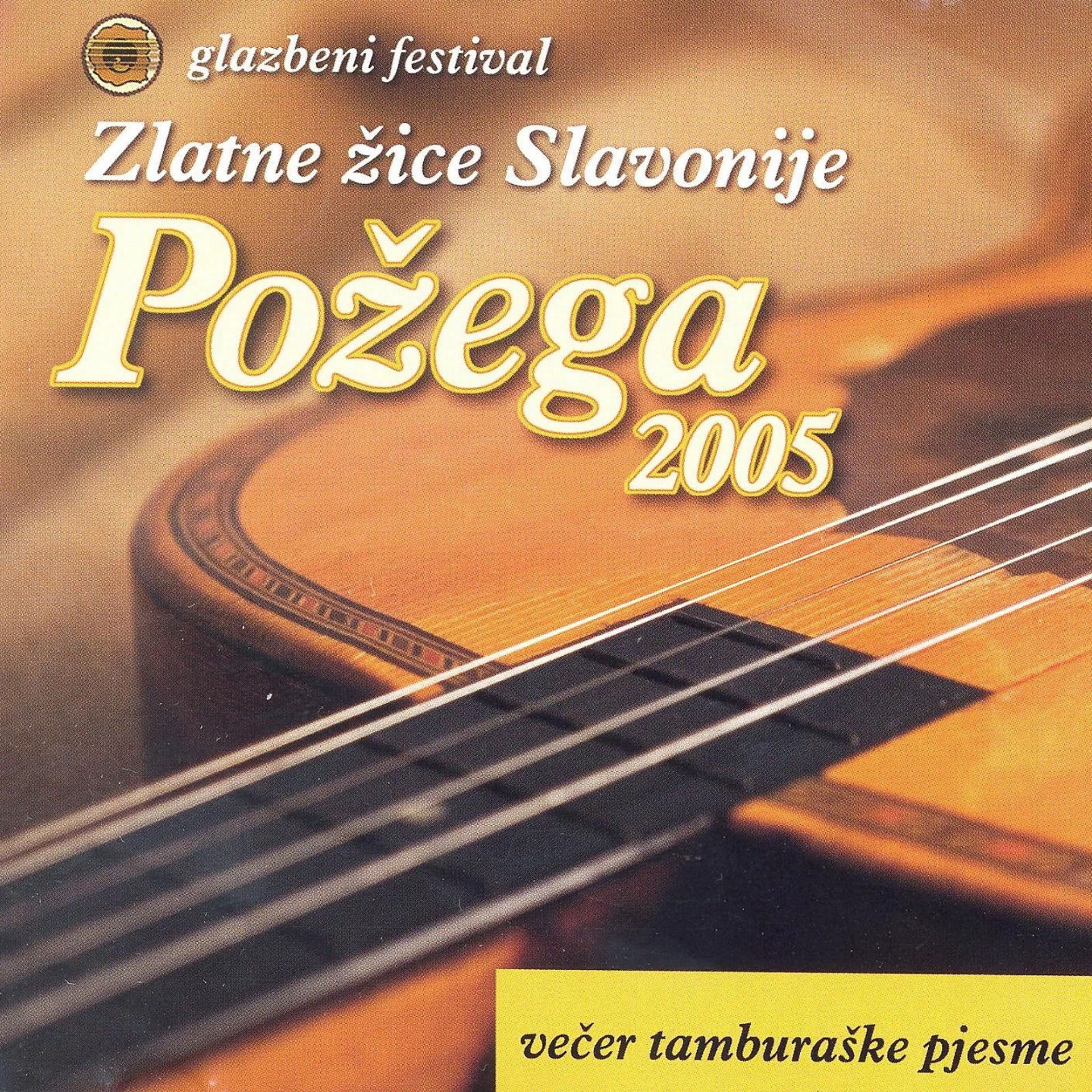 Постер альбома Požega 2005, Večer Tamburaške Pjesme