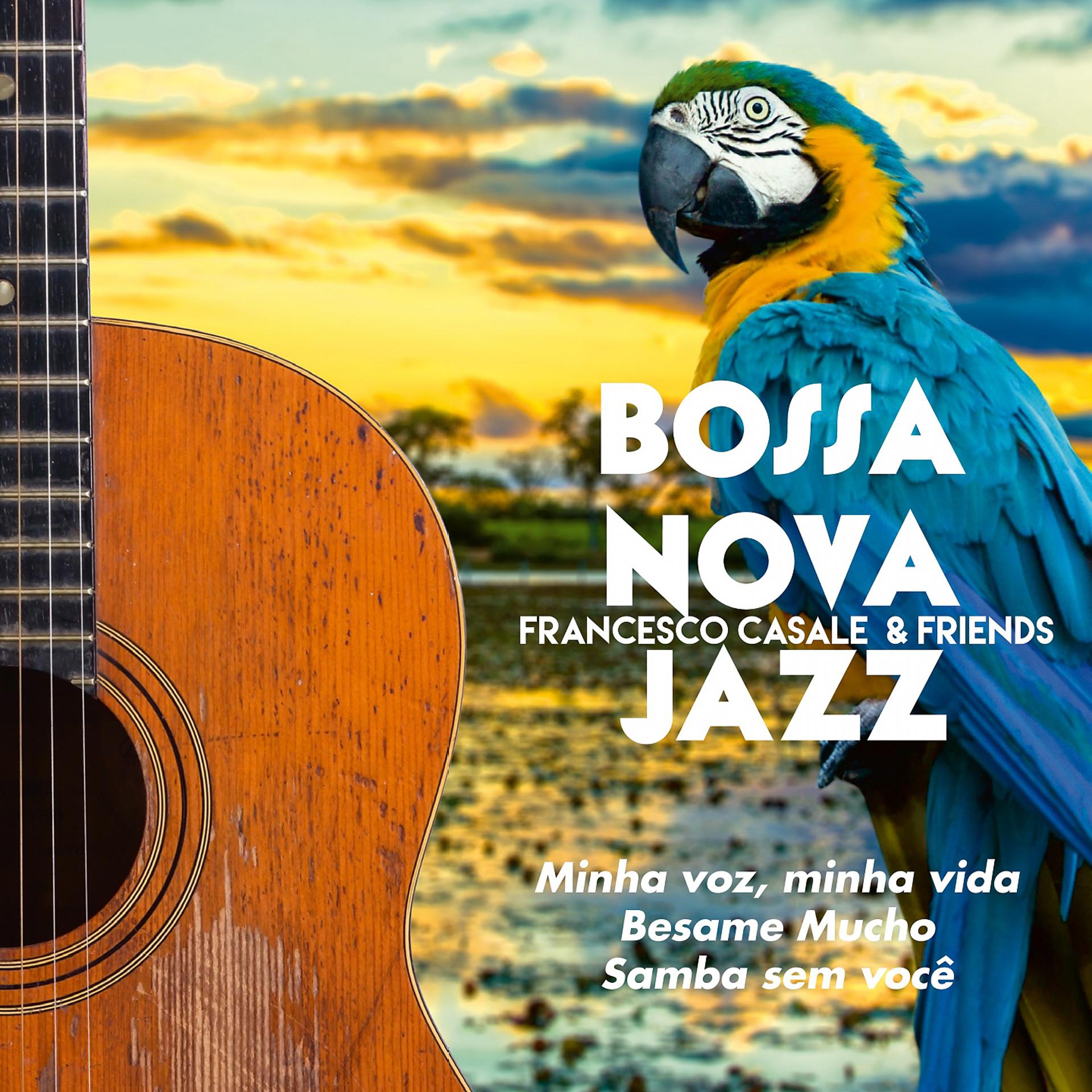 Постер альбома Bossa Nova, Jazz: Minha Voz, Minha Vida