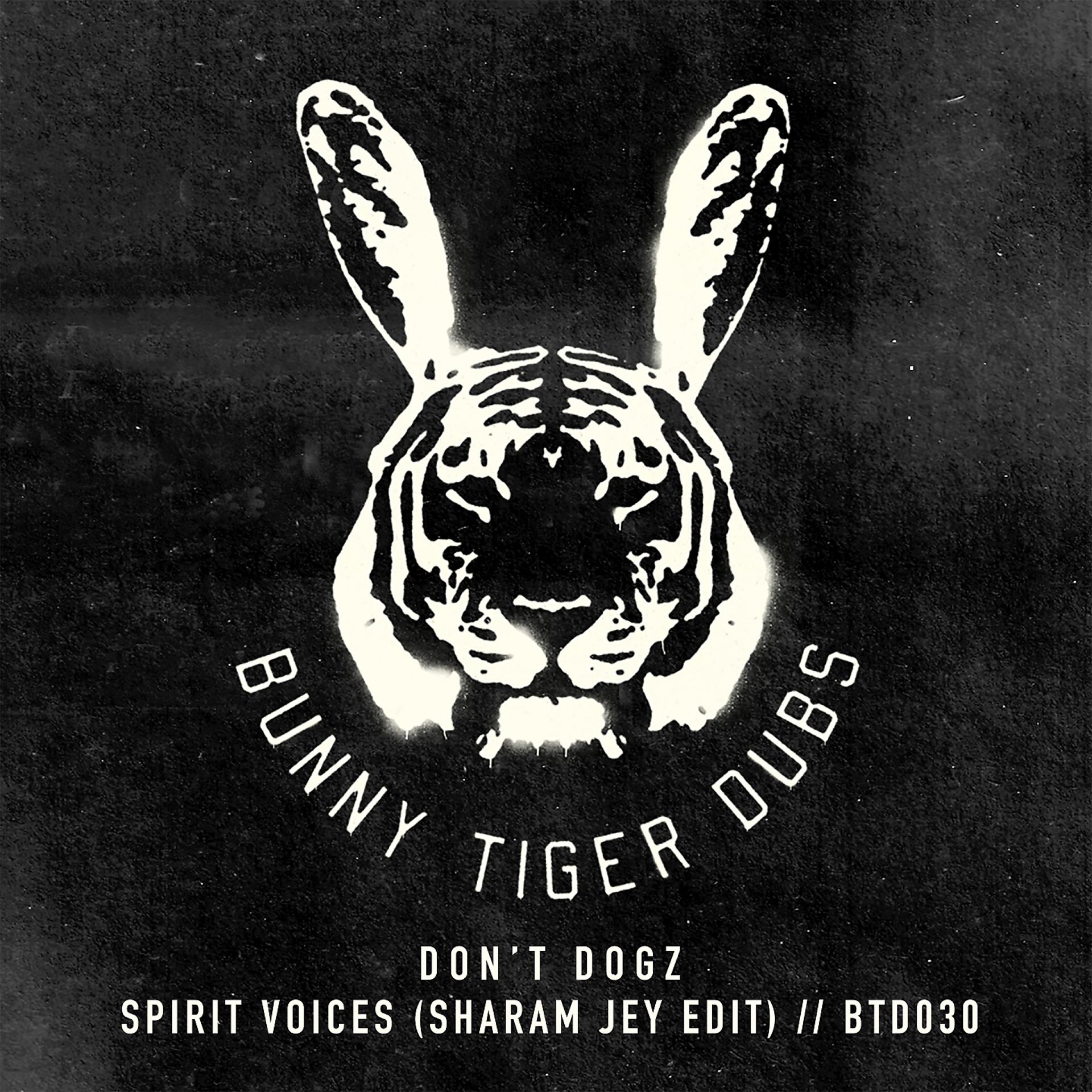 Постер альбома Spirit Voices (Sharam Jey Edit)