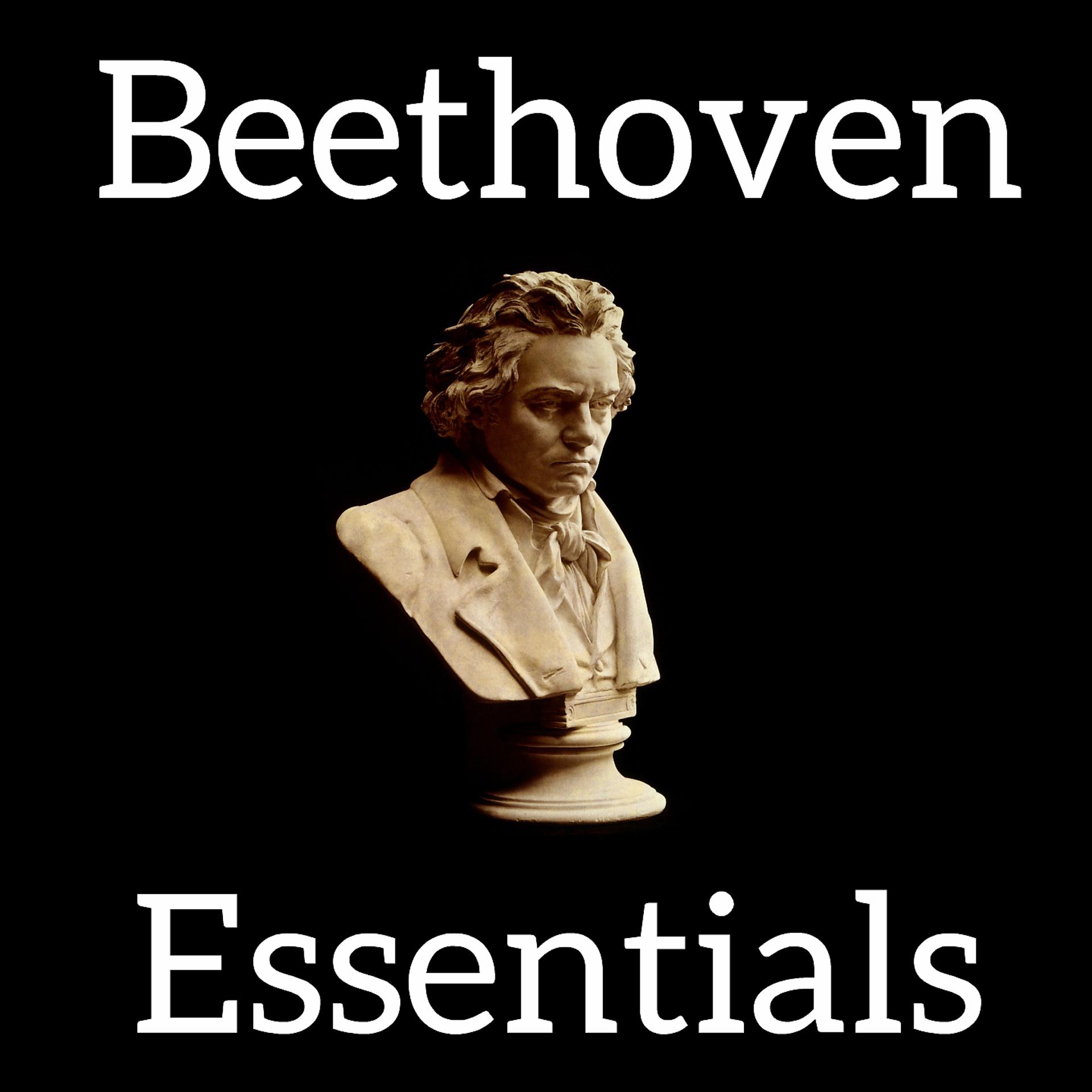 Постер альбома Beethoven Essentials