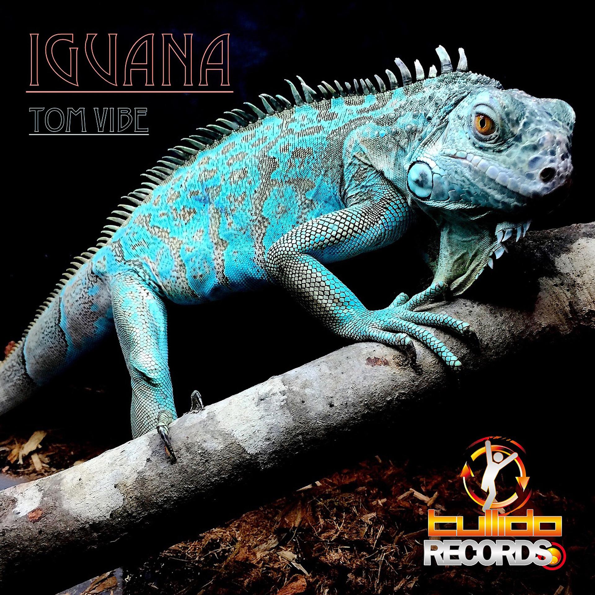 Постер альбома Iguana