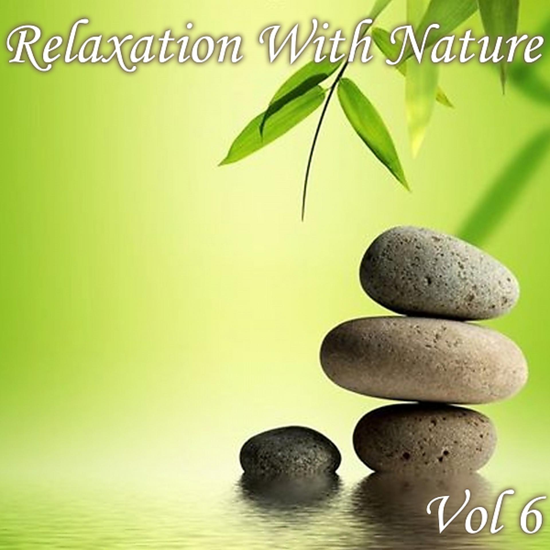 Постер альбома Relaxation With Nature, Vol. 6