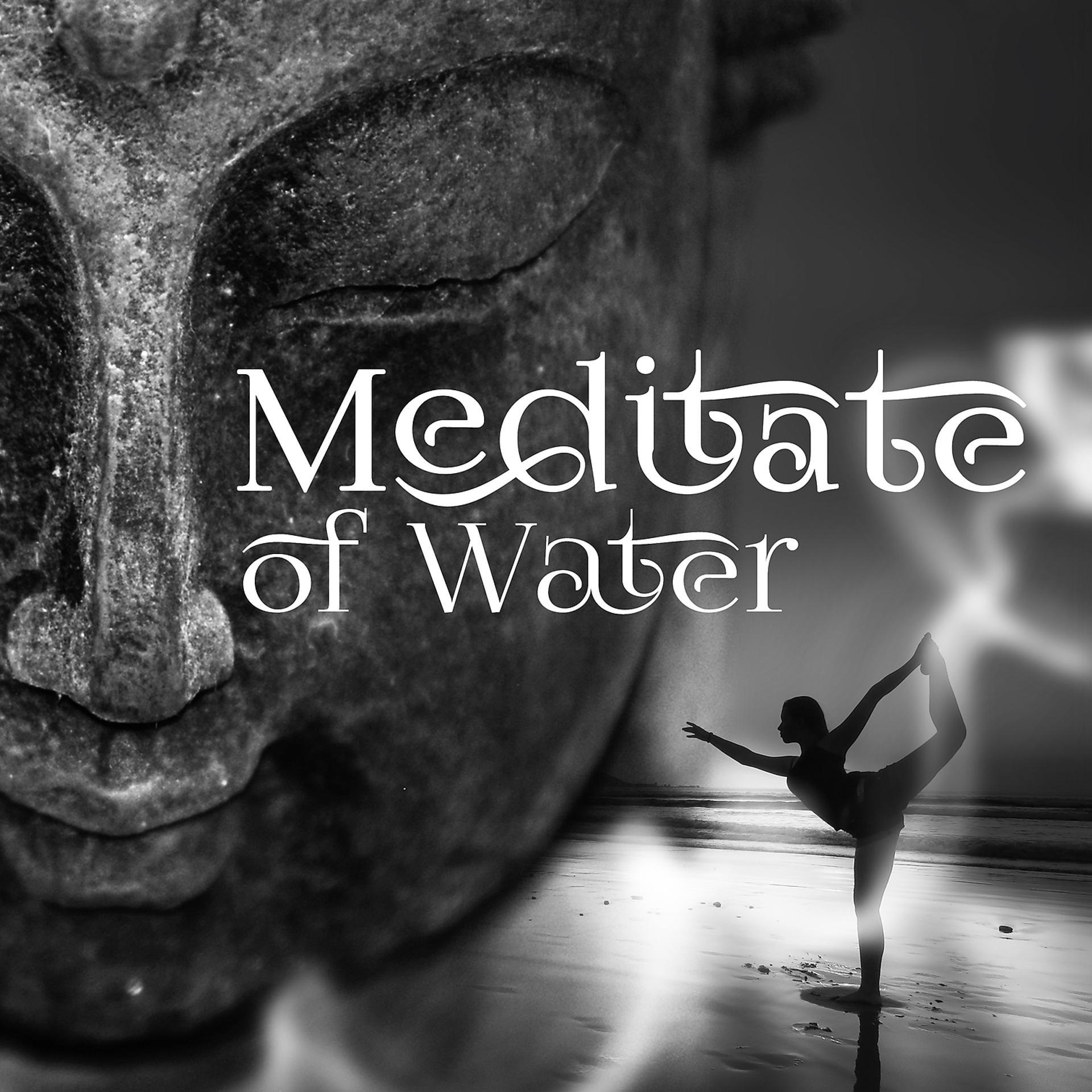 Постер альбома Meditate of Water - Moments of Relaxation, Relaxation and Catch Breath, Meditation and Harmony, Mind Mute, Balance Mind and Body