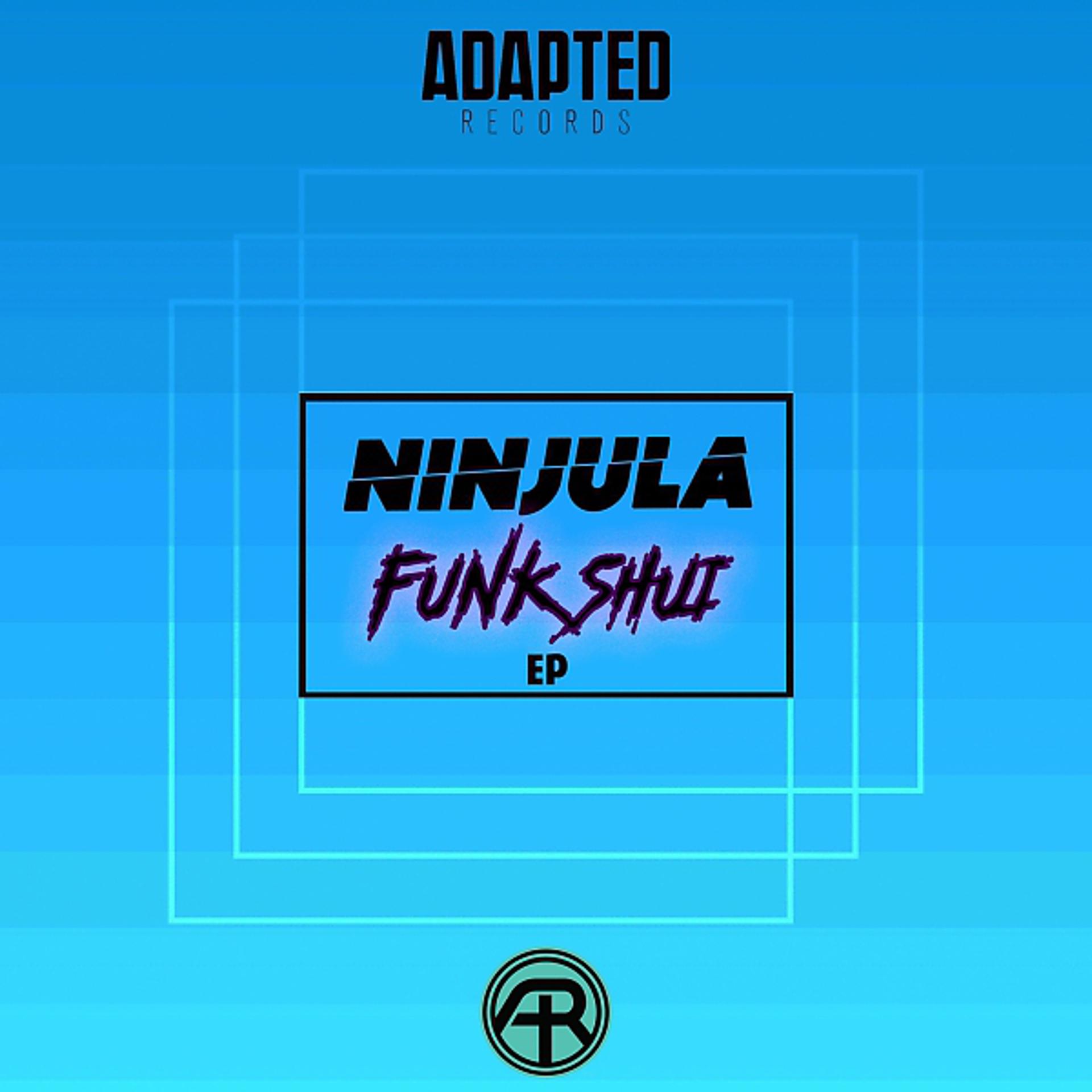 Постер альбома Funk Shui EP