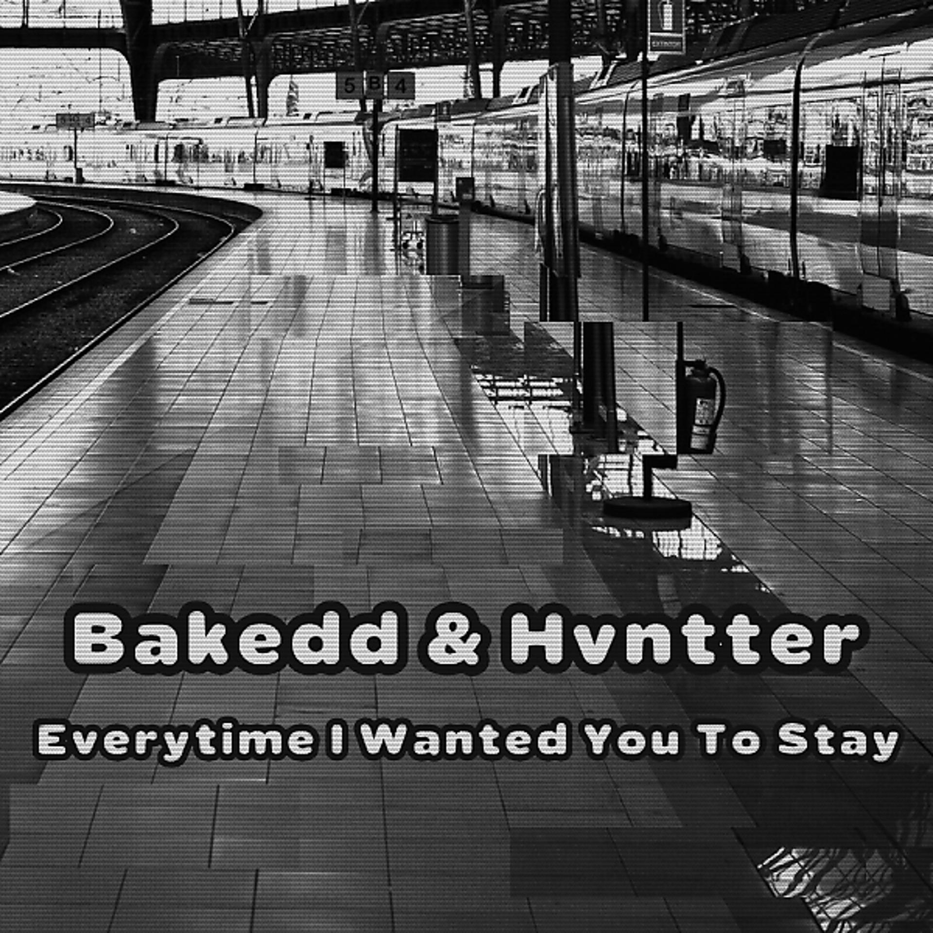 Постер альбома Everytime I Wanted You To Stay (Original Mix)