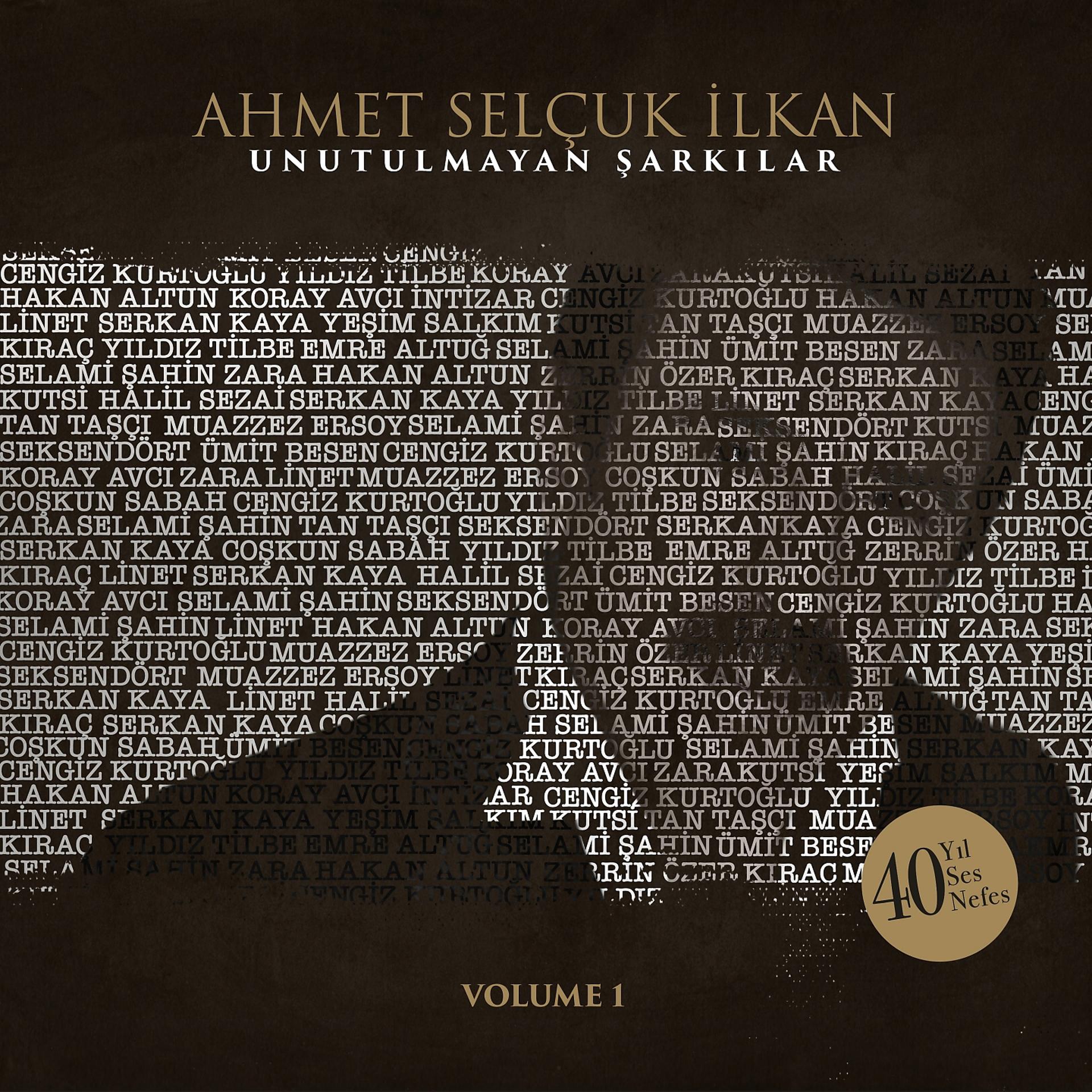Постер альбома Ahmet Selçuk İlkan Unutulmayan Şarkılar, Vol. 1