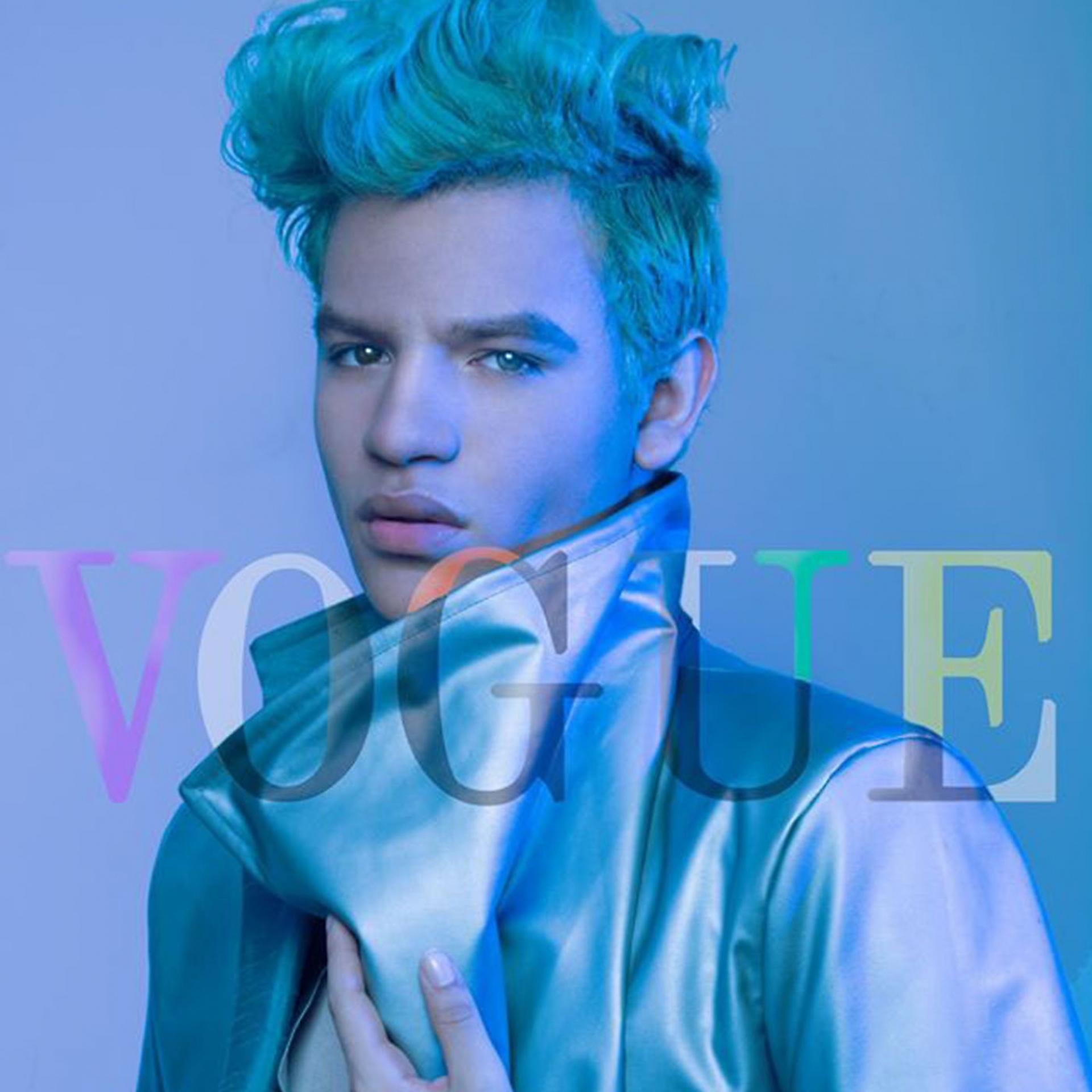 Постер альбома Vogue
