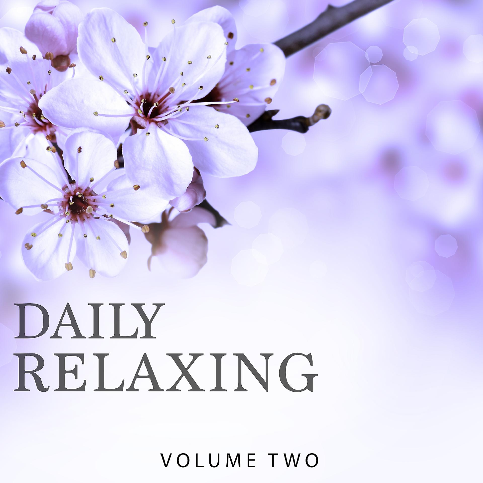 Постер альбома Daily Relaxing, Vol. 2
