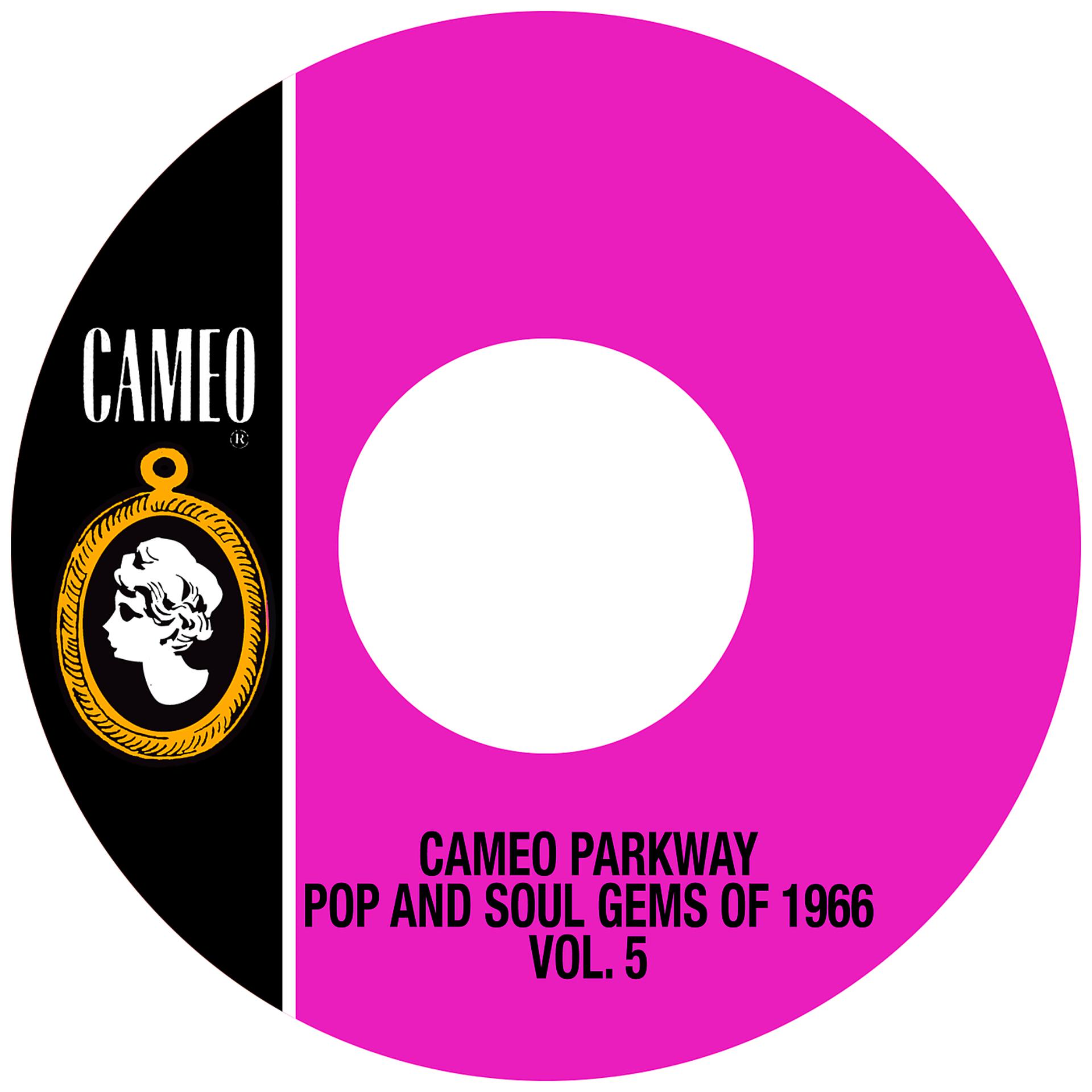 Постер альбома Cameo Parkway Pop And Soul Gems Of 1966 Vol. 5