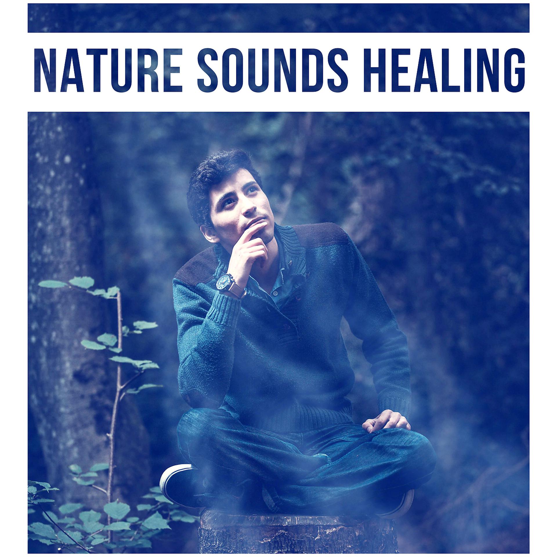 Постер альбома Nature Sounds Healing – Calm Relax, Nature Sounds for Healing, Peace of Mind, Serenity, Natural World Music