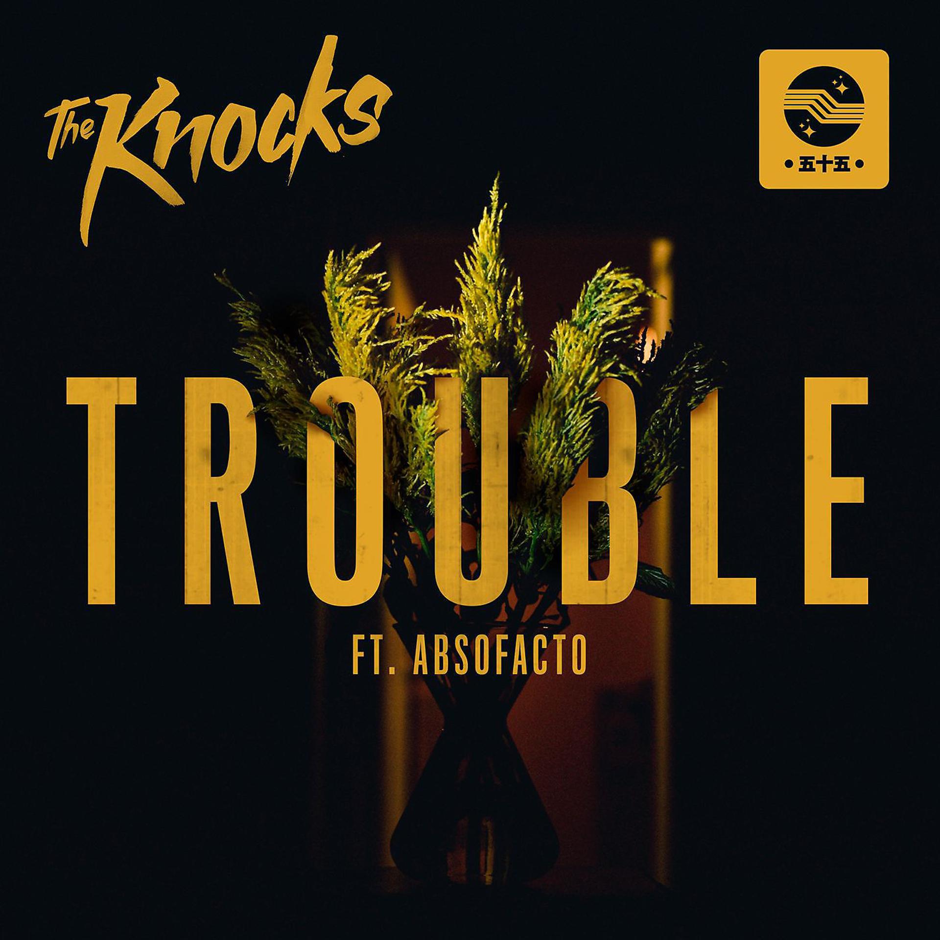 Постер альбома TROUBLE (feat. Absofacto)
