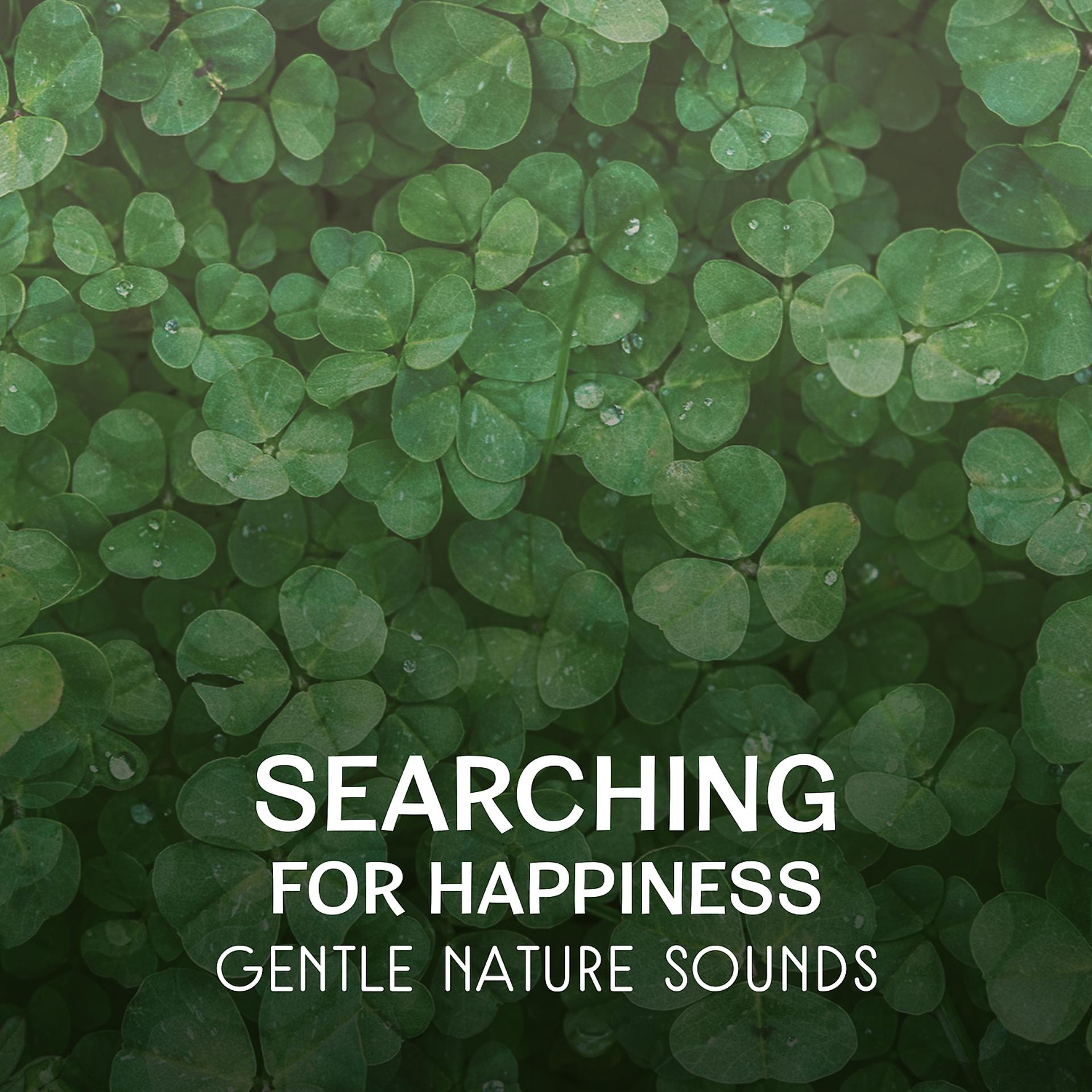 Постер альбома Searching for Happiness – Gentle Nature Sounds, Relaxing Music to Feel Free, Dream Come True, Meditation with Mother Nature