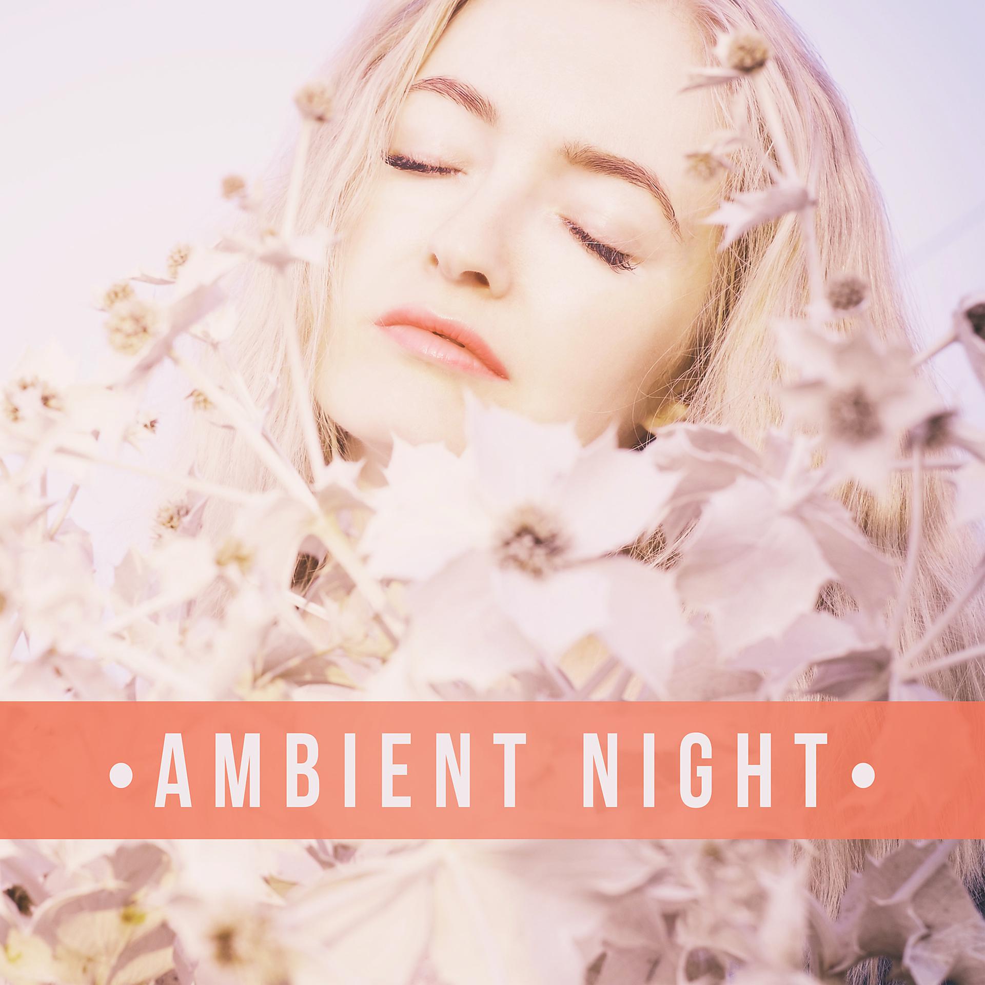 Постер альбома Ambient Night – Sounds for Deep Sleep, Relaxation, Meditation and Cure Insomnia