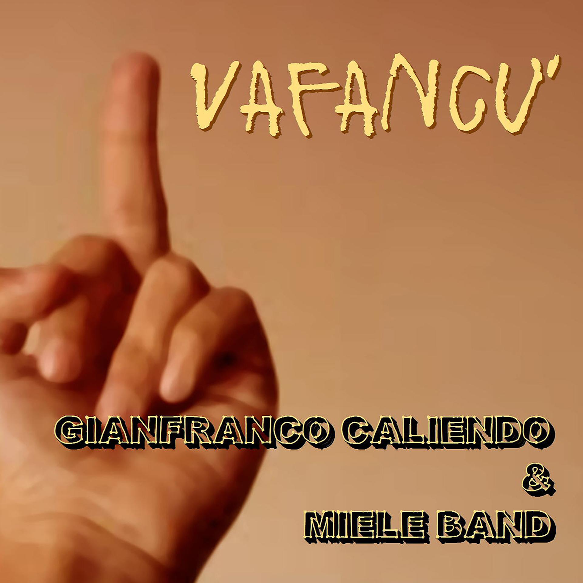 Постер альбома Vafancu'