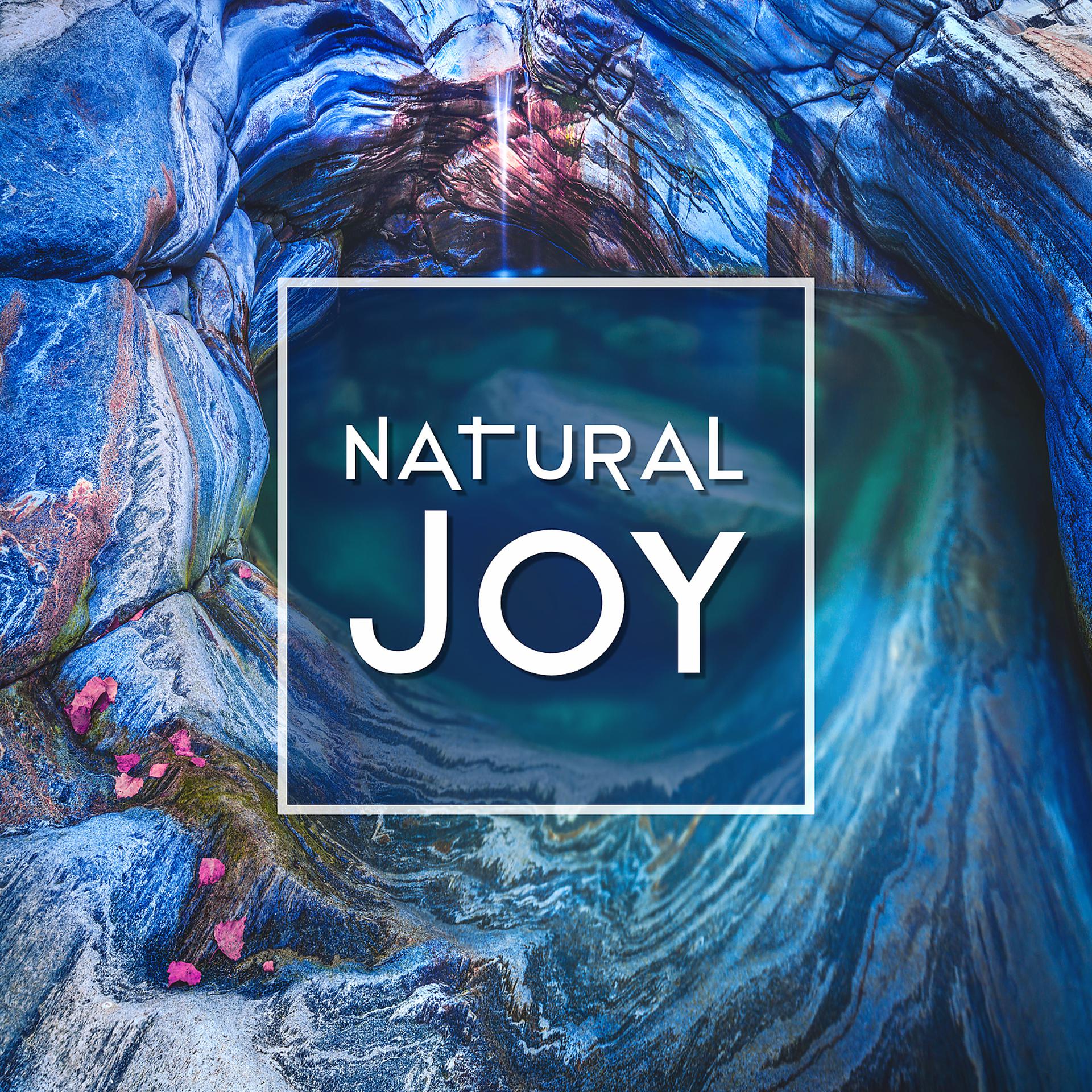 Постер альбома Natural Joy - Sound Environment, Time and Nature, Sound of Wind and Water, Moments with Nature