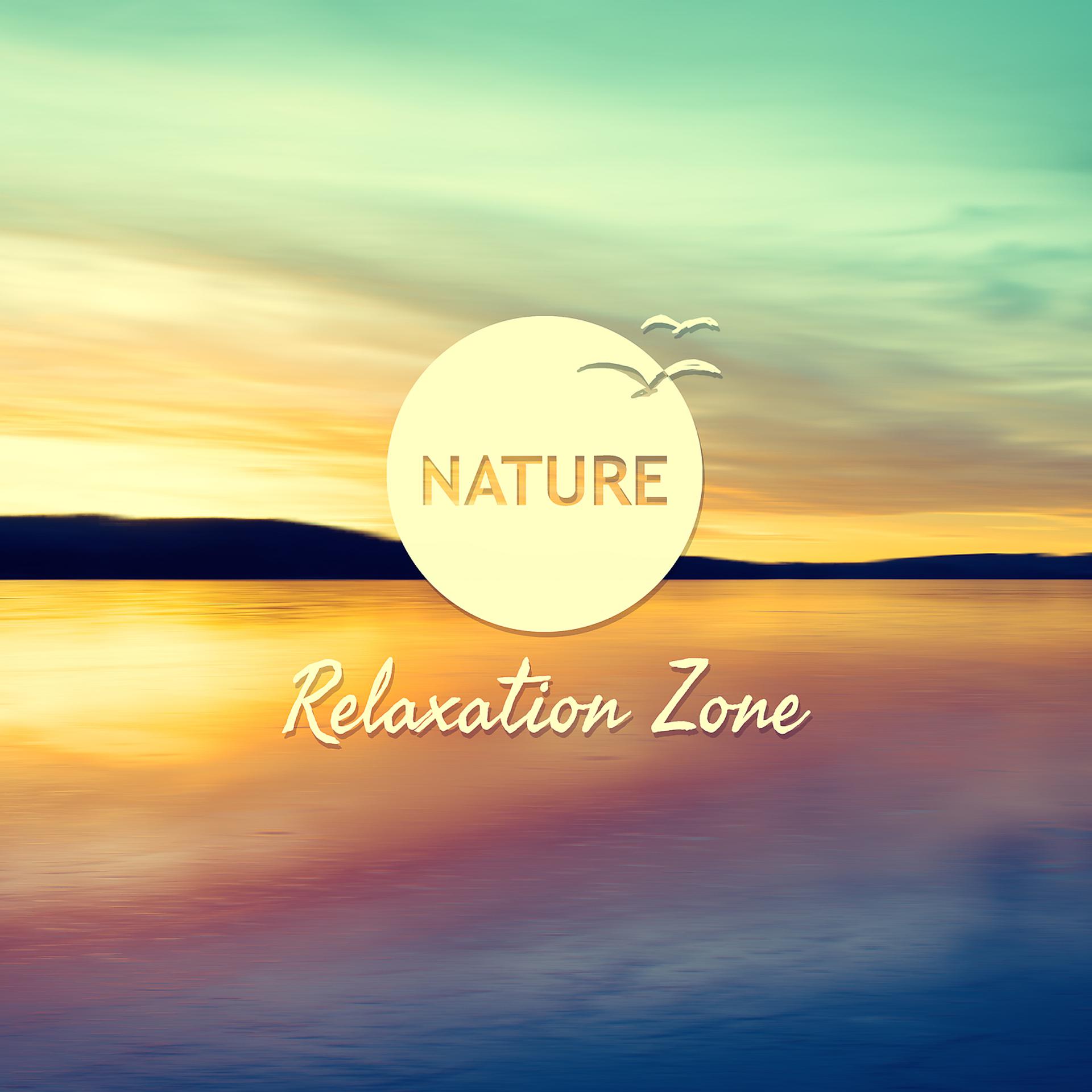Постер альбома Nature Relaxation Zone – Ambient Sounds of Nature, Nature Lounge, Deep Nature Sounds, White Noise