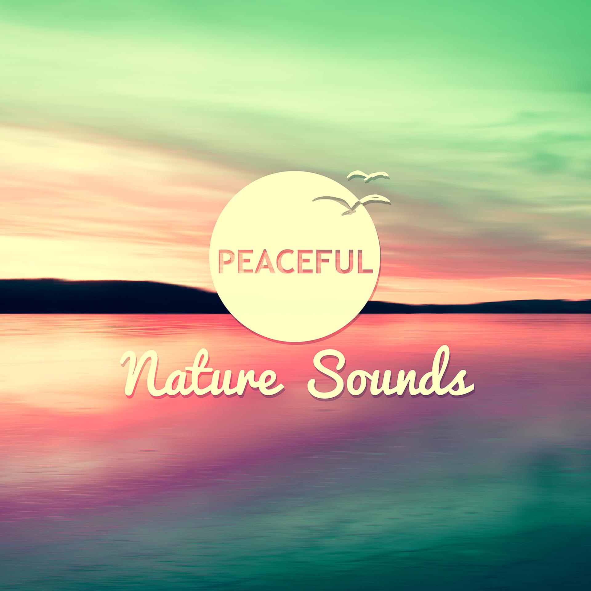 Постер альбома Peaceful Nature Sounds – Natural Sounds, Peacefulness and Tranquility, Calming Nature
